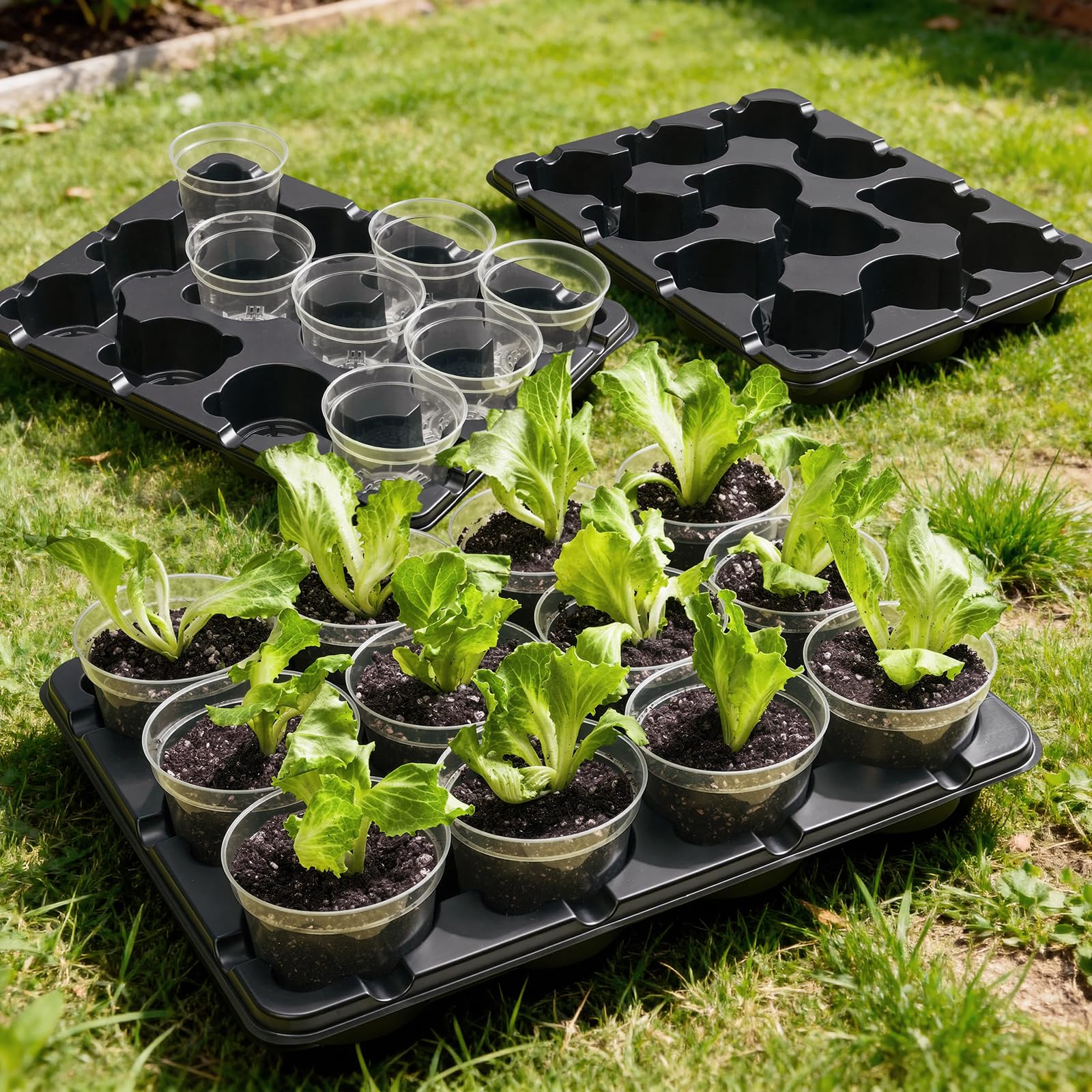 4 Pack 20 Cell Seed Starting Trays with 4 Vented Humidity Domes | Compatible with standard 3 inch nursery pots. Thick reusable trays have deep cells, raised bases and adjustable dome vents.