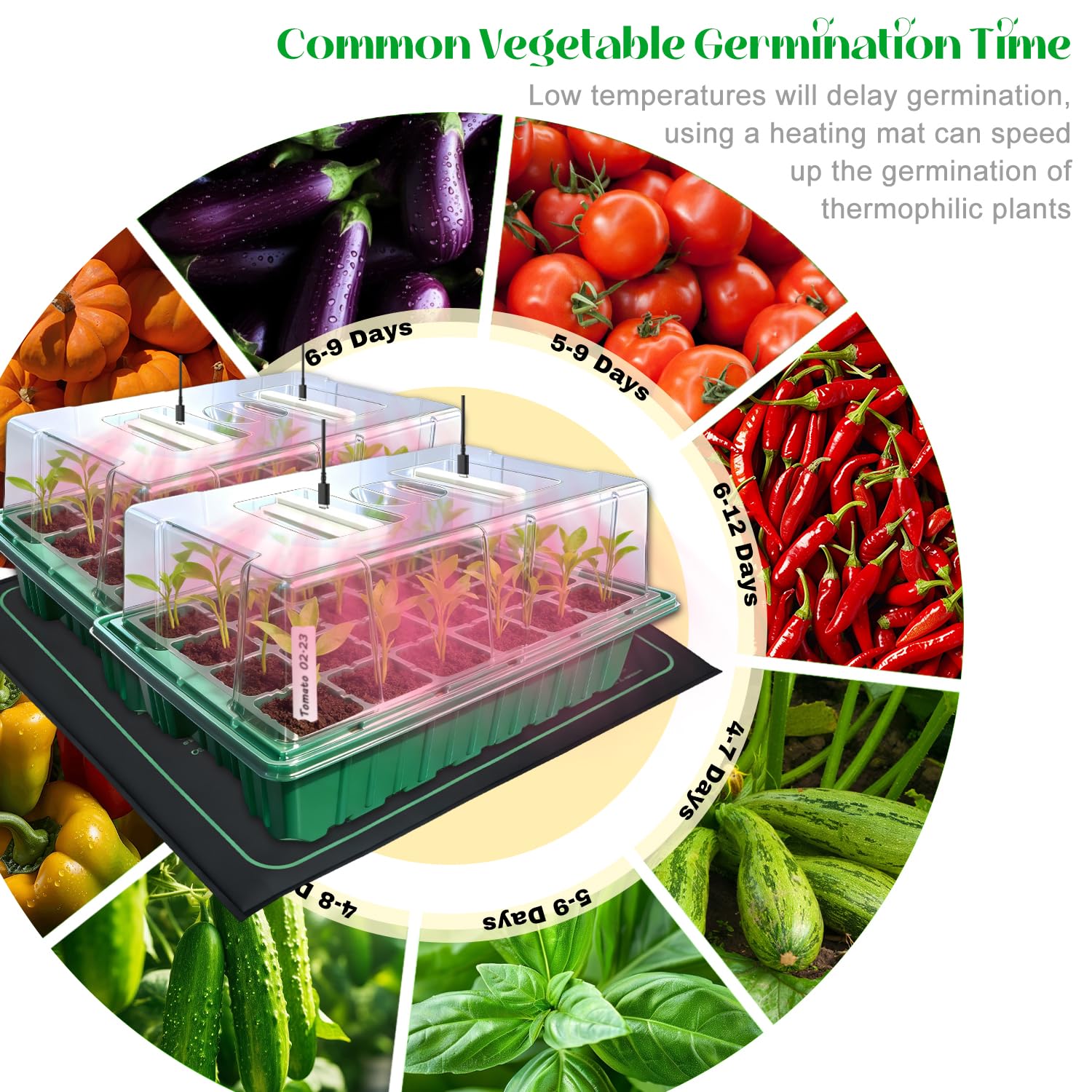 Seed Starter Tray with Grow Light (2x 24-LED), 2 Pack for Seed Starting | Seed Starter Kit with Humidity Domes and Timing Controller, Adjustable Brightness, Reusable Thicken Seedling Starter
