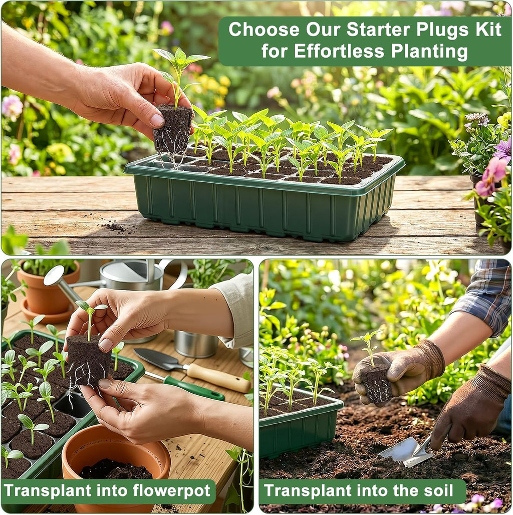 Grow Sponges with Tray, 24 Pack Seed Starter Pods & Starter Plugs for Cuttings, Hydroponic Grow Sponges for Seed Starting, Plant Plugs for Herbs Vegetables Flowers, Easy Transplant Rooter Pods