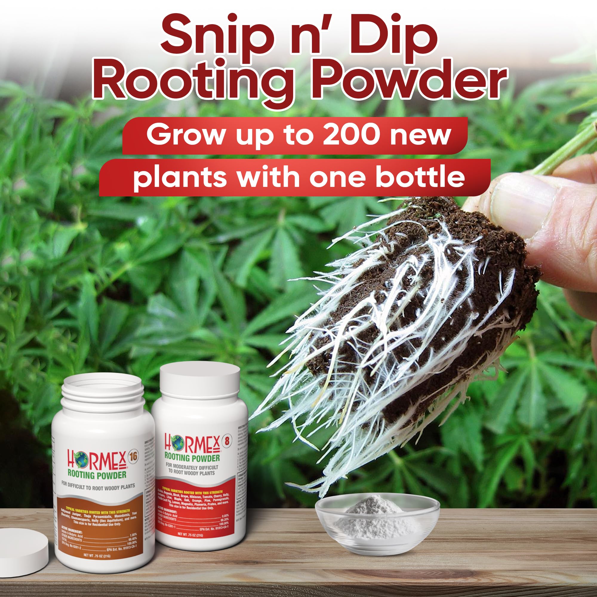 Hormex Rooting Hormone for Cuttings #16 - Max-Strength Powder (1.60% IBA) | Maximum Strength Rooting Hormone, Root Stimulator for Plants, Rooting Powder Compound for Difficult Hardwood Plants & Trees