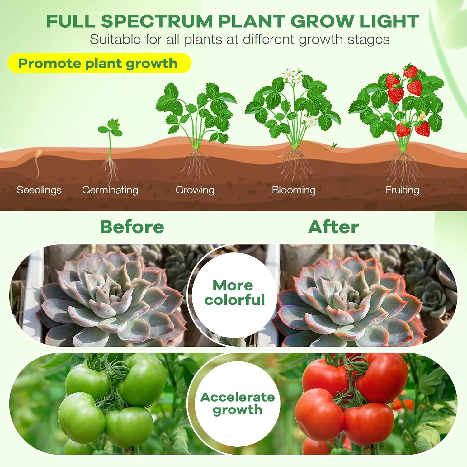 Led Grow Lights, 4 Heads Red Blue Plant Light with Clamp for Indoor Plants & Seed Starting, 10-Level Dimmable, Auto On Off, Timing 3 9 12Hrs