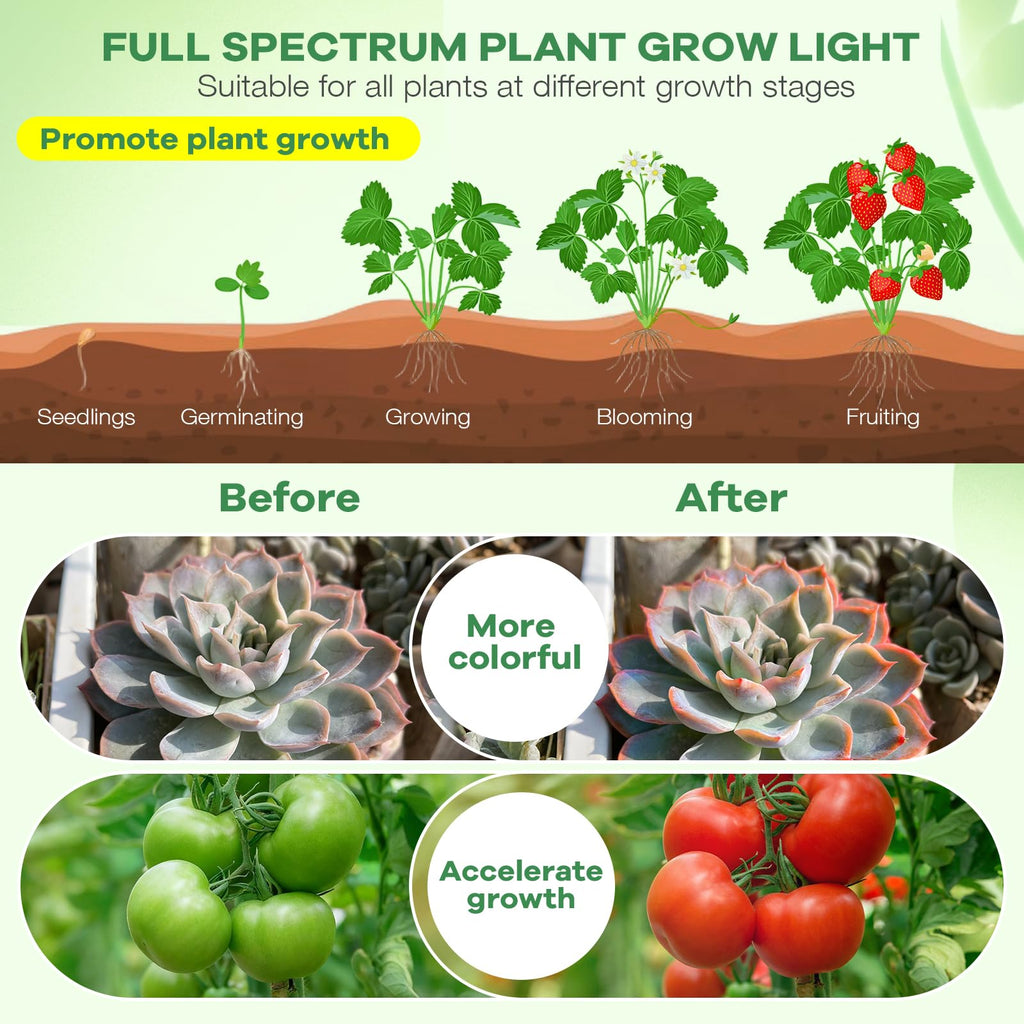Led Grow Lights, 4 Heads Red Blue Plant Light with Clamp for Indoor Plants & Seed Starting, 10-Level Dimmable, Auto On Off, Timing 3 9 12Hrs
