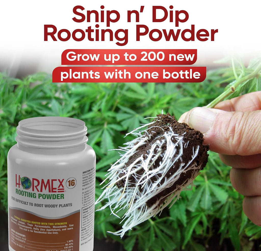 Hormex Rooting Hormone for Cuttings #16 - Max-Strength Powder (1.60% IBA) | Maximum Strength Rooting Hormone, Root Stimulator for Plants, Rooting Powder Compound for Difficult Hardwood Plants & Trees