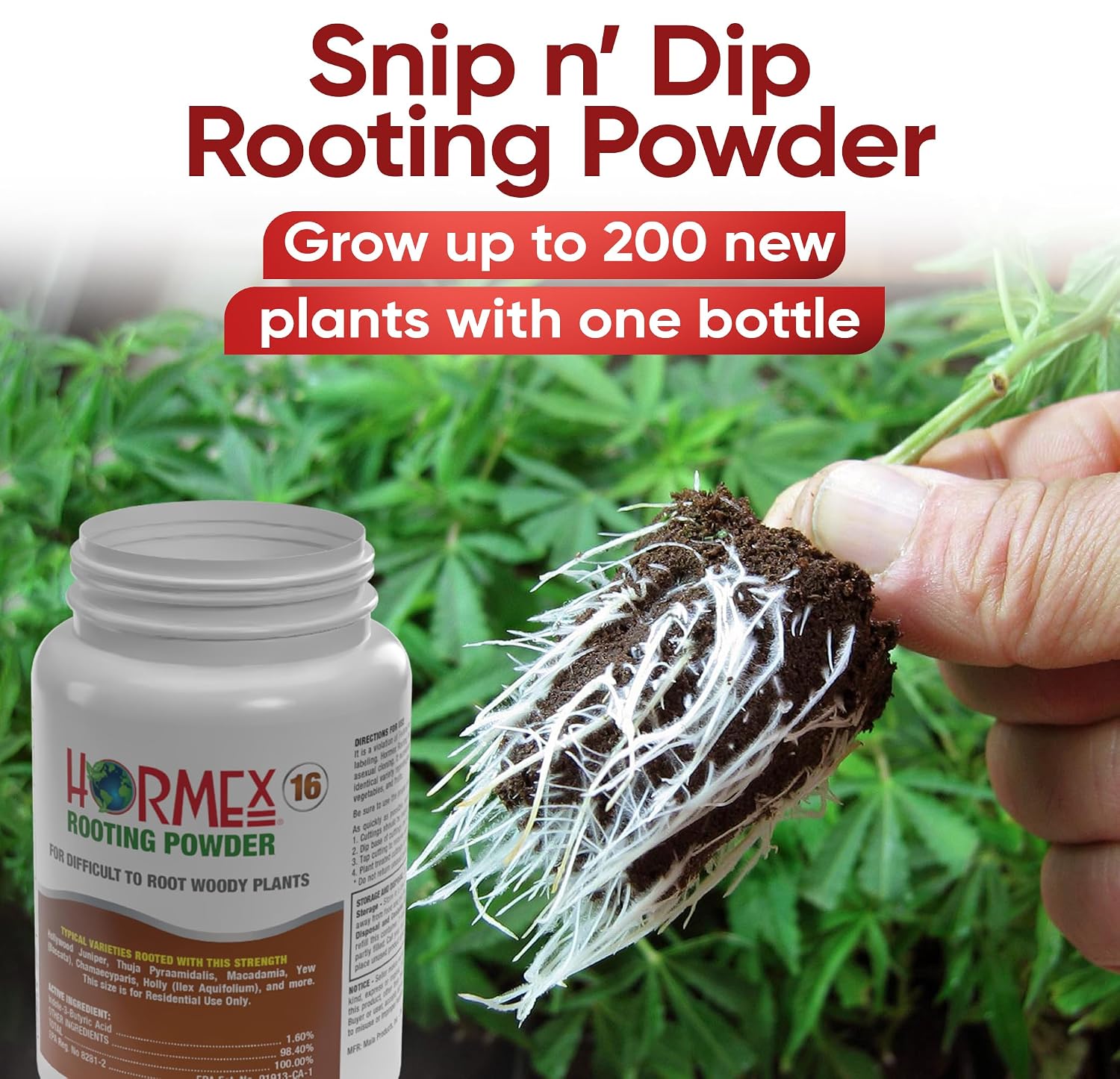 Hormex Rooting Hormone for Cuttings #16 - Max-Strength Powder (1.60% IBA) | Maximum Strength Rooting Hormone, Root Stimulator for Plants, Rooting Powder Compound for Difficult Hardwood Plants & Trees