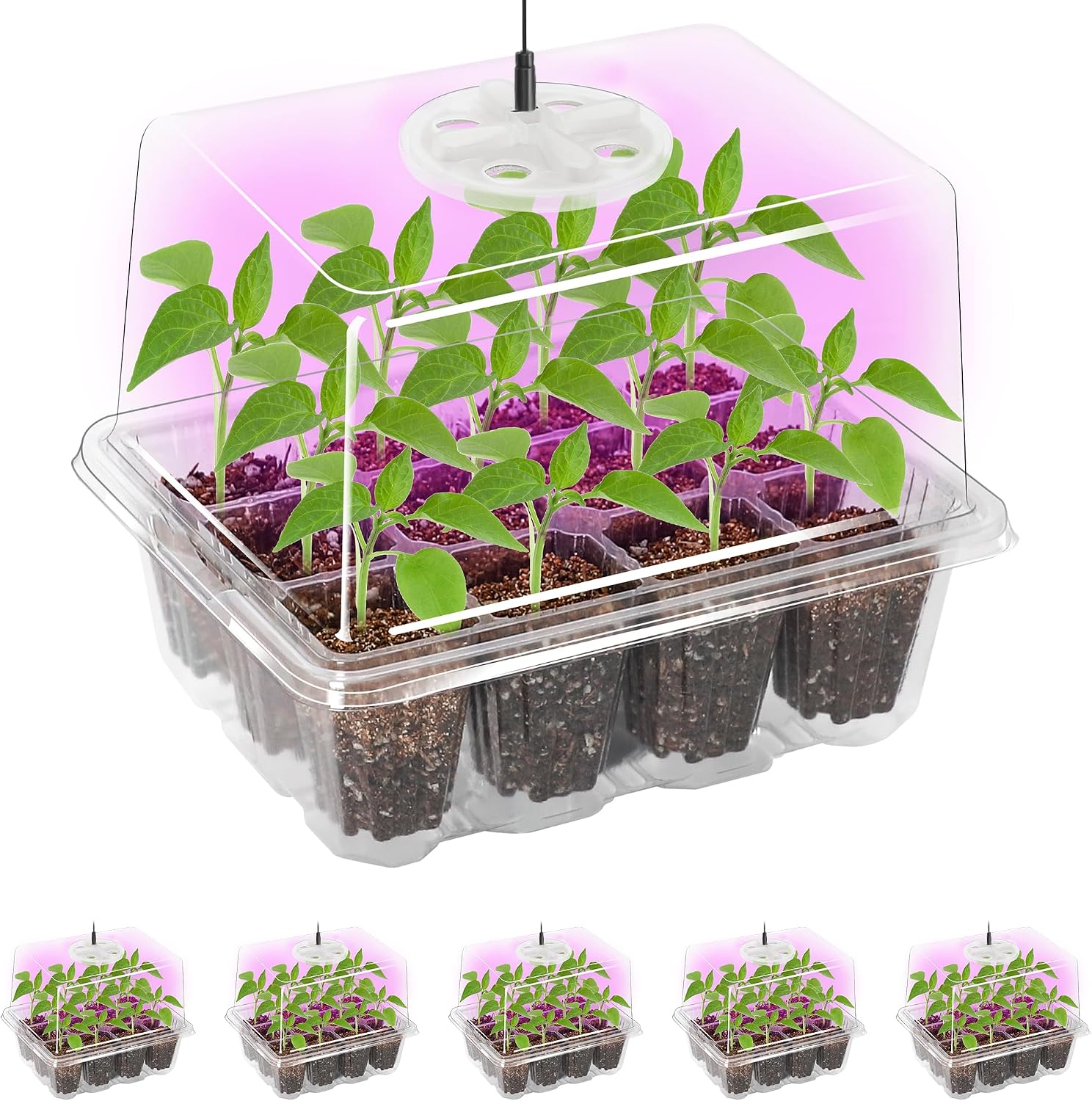 Seed Starter Trays with 12-LED Grow Lights, Clear, 5 Pack | 5 clear-base seedling kits, 60 cells, 12-LED grow light per tray, vented humidity domes, drainage holes, 1-to-5 USB cable