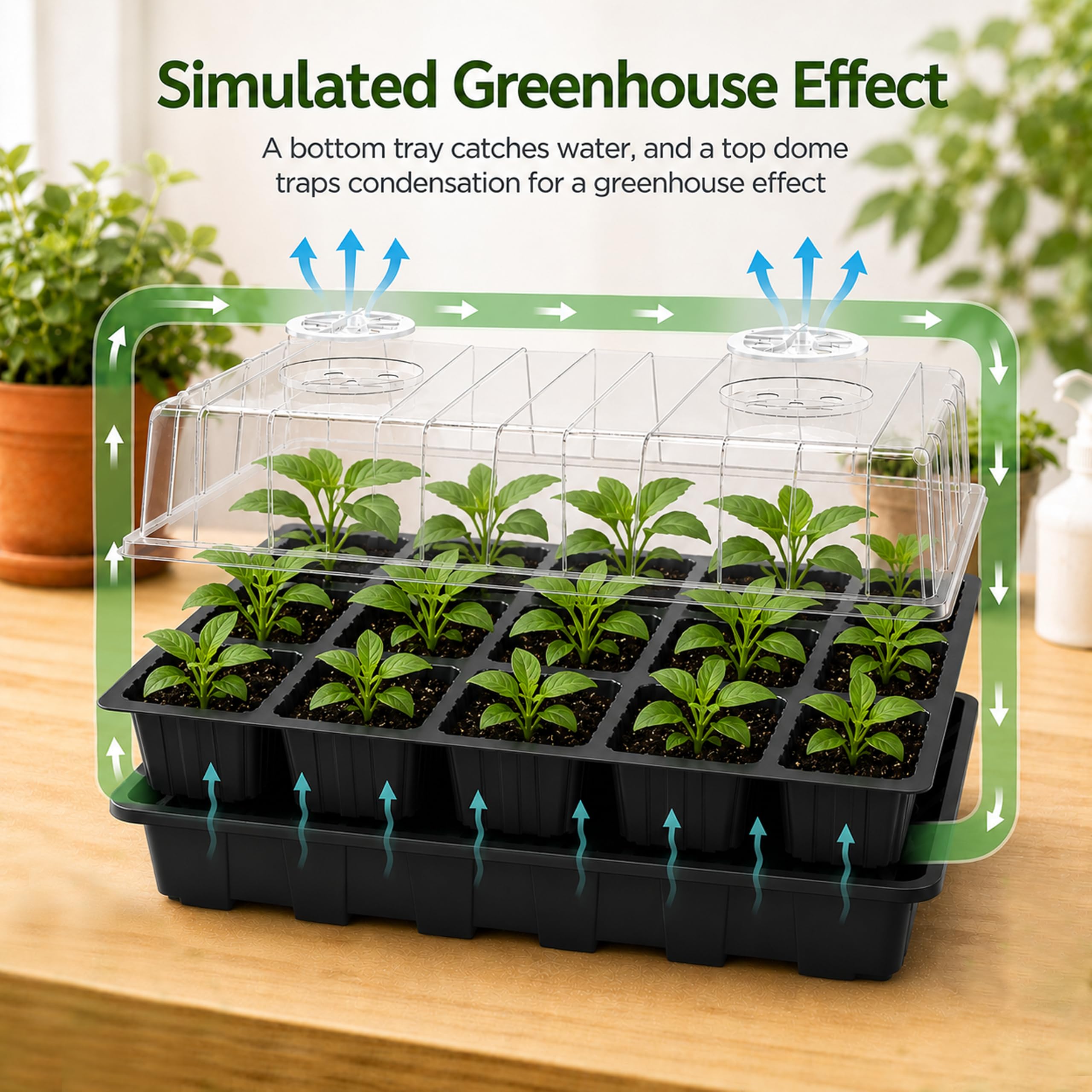 Gardzen 5-Set Seed Starter Tray Kits, Durable Plant Germination Trays with Humidity Vented Domes and Bases, Ideal for Seed Starting, Indoor Gardening, and Greenhouse (Total 200 Cells) | Durable Plant Germination Kit with Humidity Control Domes for Indoor