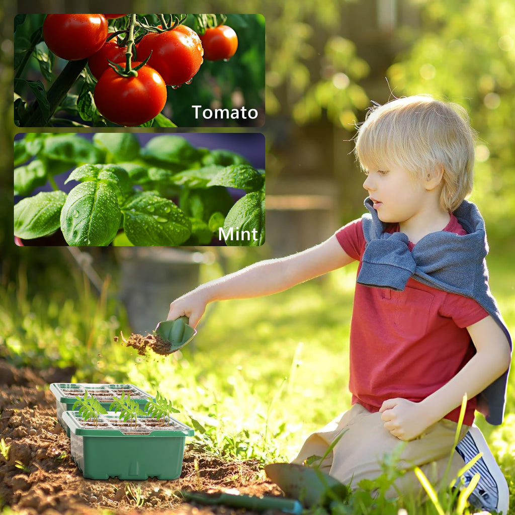 10-Pack Seed Starter Trays, Tall Dome, Base, 12-Cell Tray, Clear | 10 Seedling Kits with Tall Domes for Large Seed Starting. Adjustable Vents, Clear Trays & Heat Mat Compatibility, Indoor Use