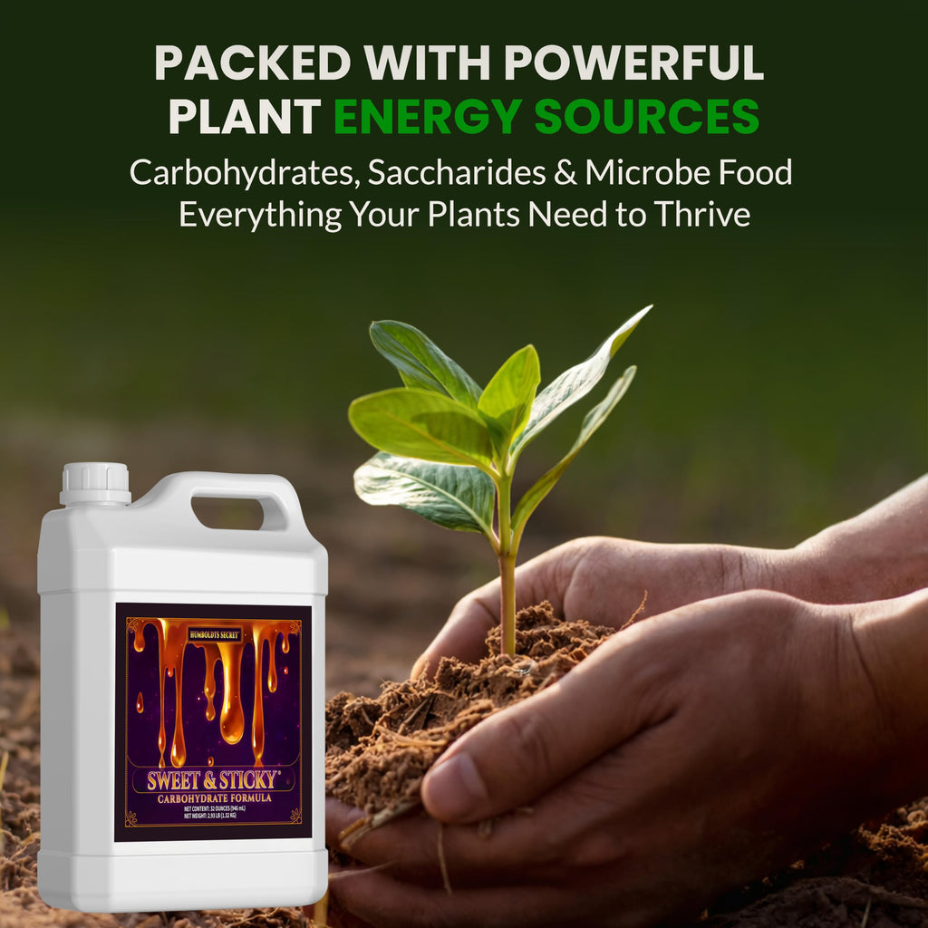 Humboldts Secret Sweet & Sticky Carbohydrate and Saccharide Plant Energy Additive | Indoor and Outdoor Plant Nutrients Enhancer for Growth and Aroma | Boosts Flavor and Development | 1 Gallon