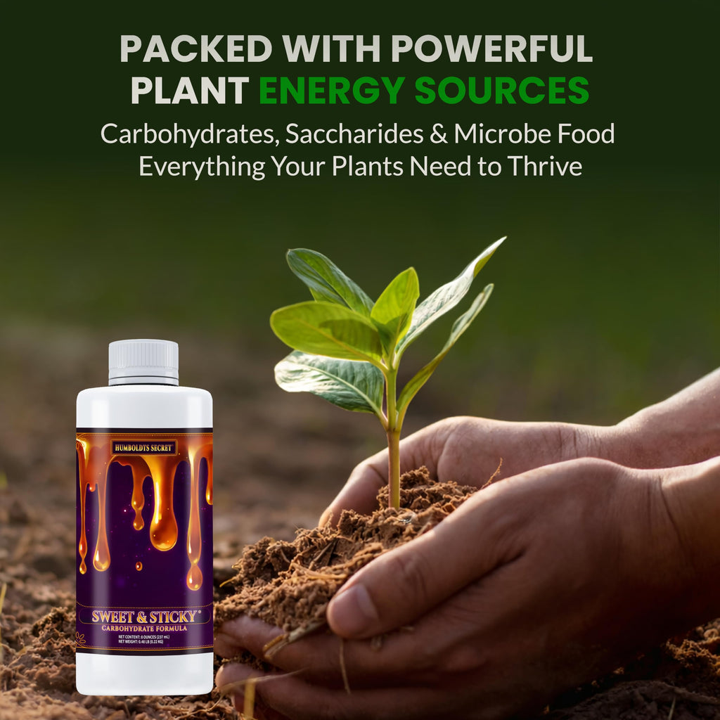 Humboldts Secret Sweet & Sticky Carbohydrate and Saccharide Plant Energy Additive | Indoor and Outdoor Plant Nutrients Enhancer for Growth and Aroma | Boosts Flavor and Development | 1 Gallon