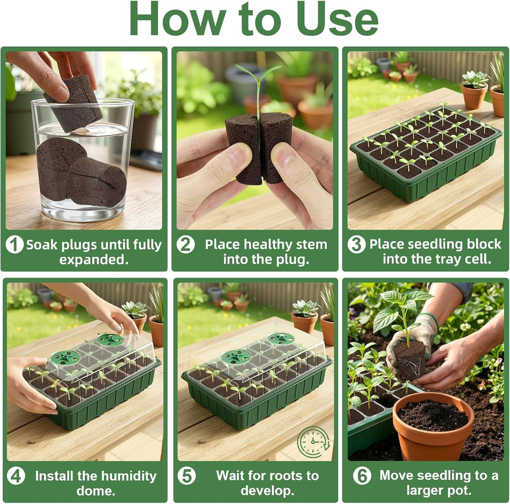 Grow Sponges with Tray, 24 Pack Seed Starter Pods & Starter Plugs for Cuttings, Hydroponic Grow Sponges for Seed Starting, Plant Plugs for Herbs Vegetables Flowers, Easy Transplant Rooter Pods