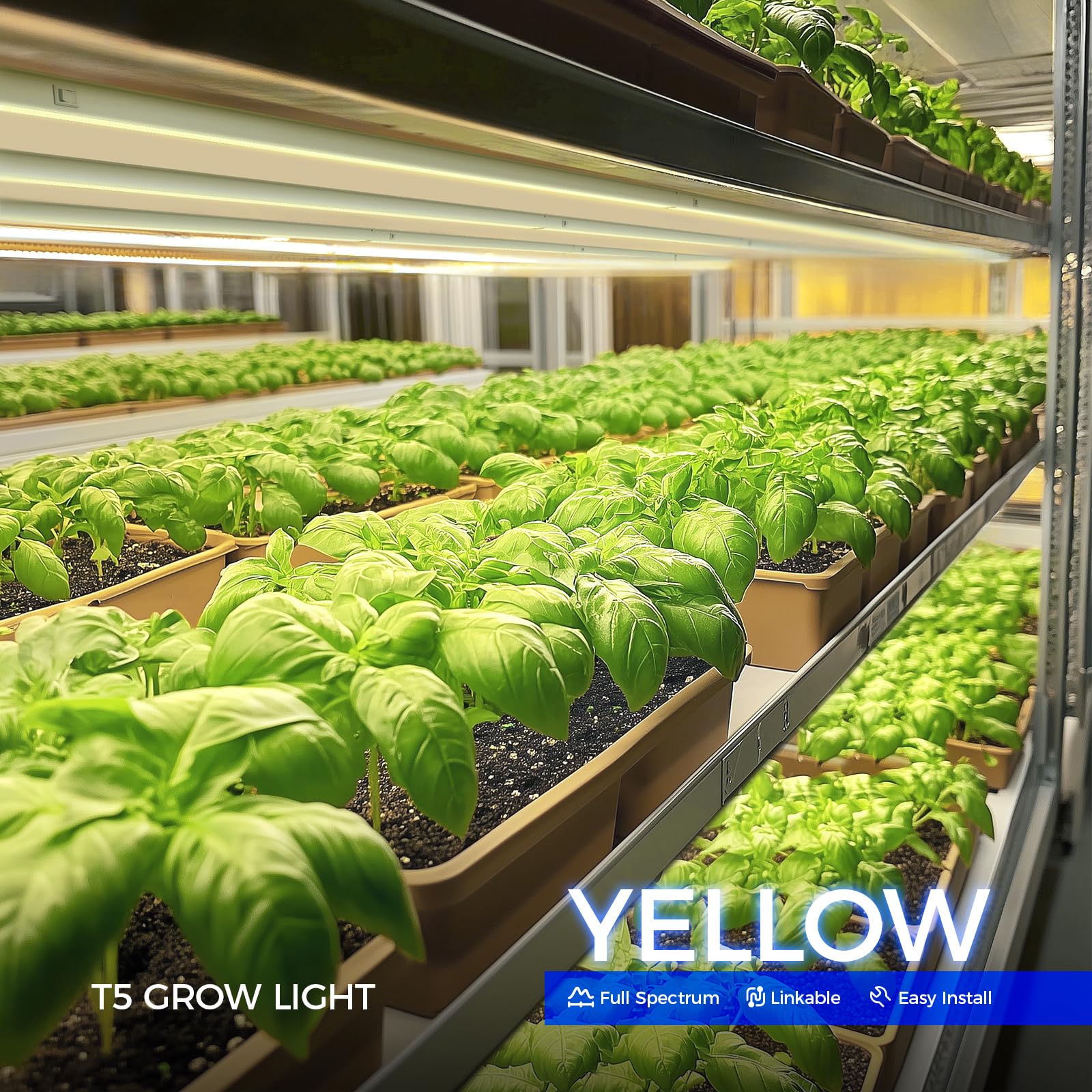 Barrina Grow Lights for Indoor Plant, T5 1FT Full Spectrum, Yellow, 4 Packs | Black Cover LED Grow Light Strips, Linkable, Plant Light for Indoor Plants Growing, 3 Mounting Modes, Separate On/Off