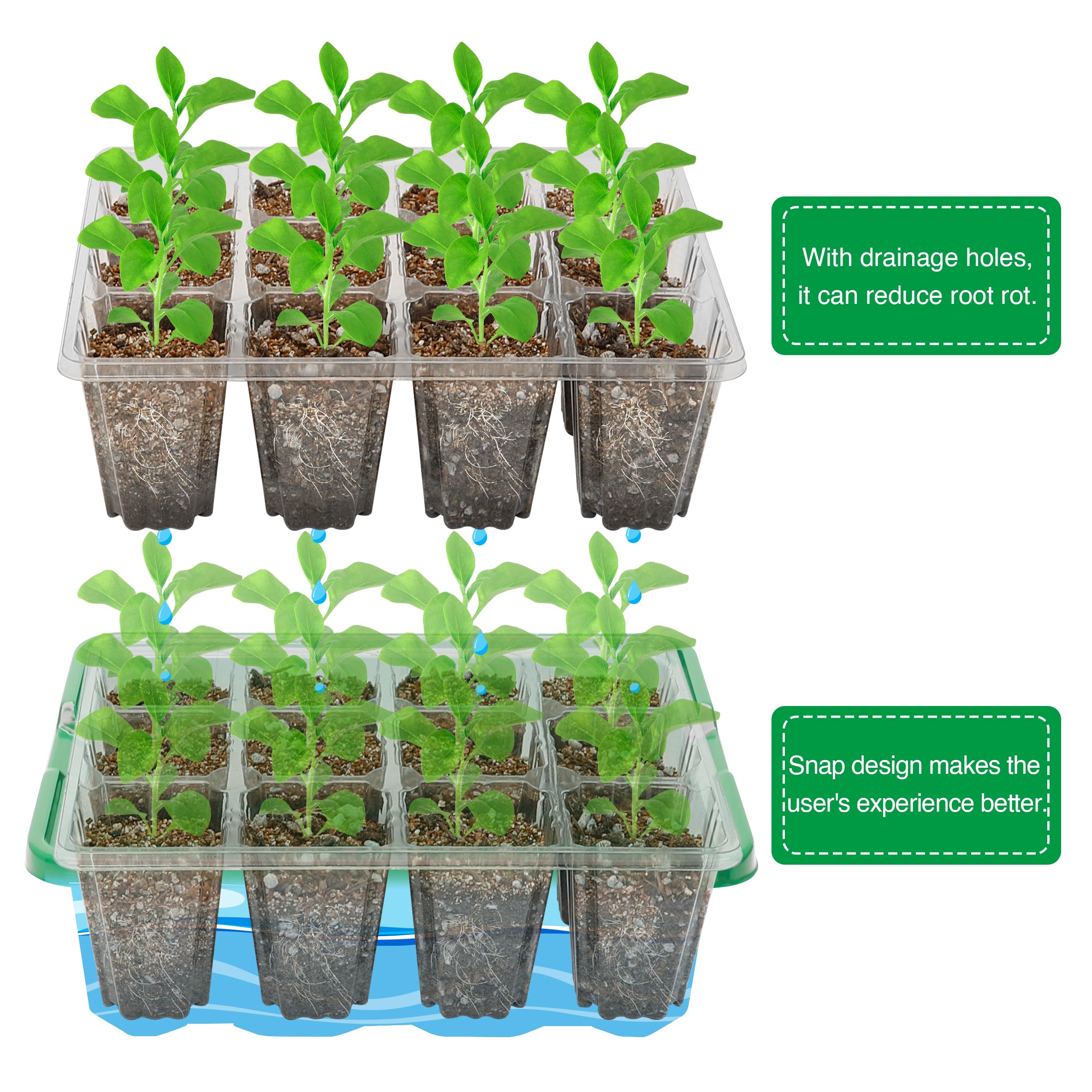 10-Pack Seed Starter Trays, Tall Dome, Base, 12-Cell Tray, Clear | 10 Seedling Kits with Tall Domes for Large Seed Starting. Adjustable Vents, Clear Trays & Heat Mat Compatibility, Indoor Use
