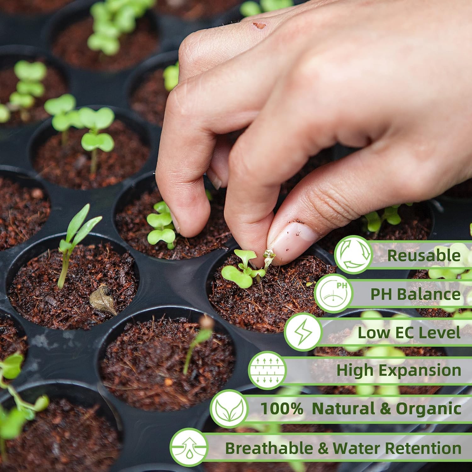 9-Pack Premium Organic Coco Coir Bricks for Plants - Low EC & pH Balance - 100% Natural Peat Moss Mix with Coconut Husk Fiber - Perfect for Gardening, Potting Soil Substrate - 12.6 lbs