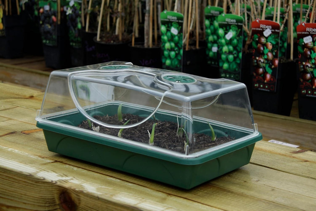 Medium Seed and Herb Domed Propagator with Vented Side Height Extension and Security Clip Set,Green