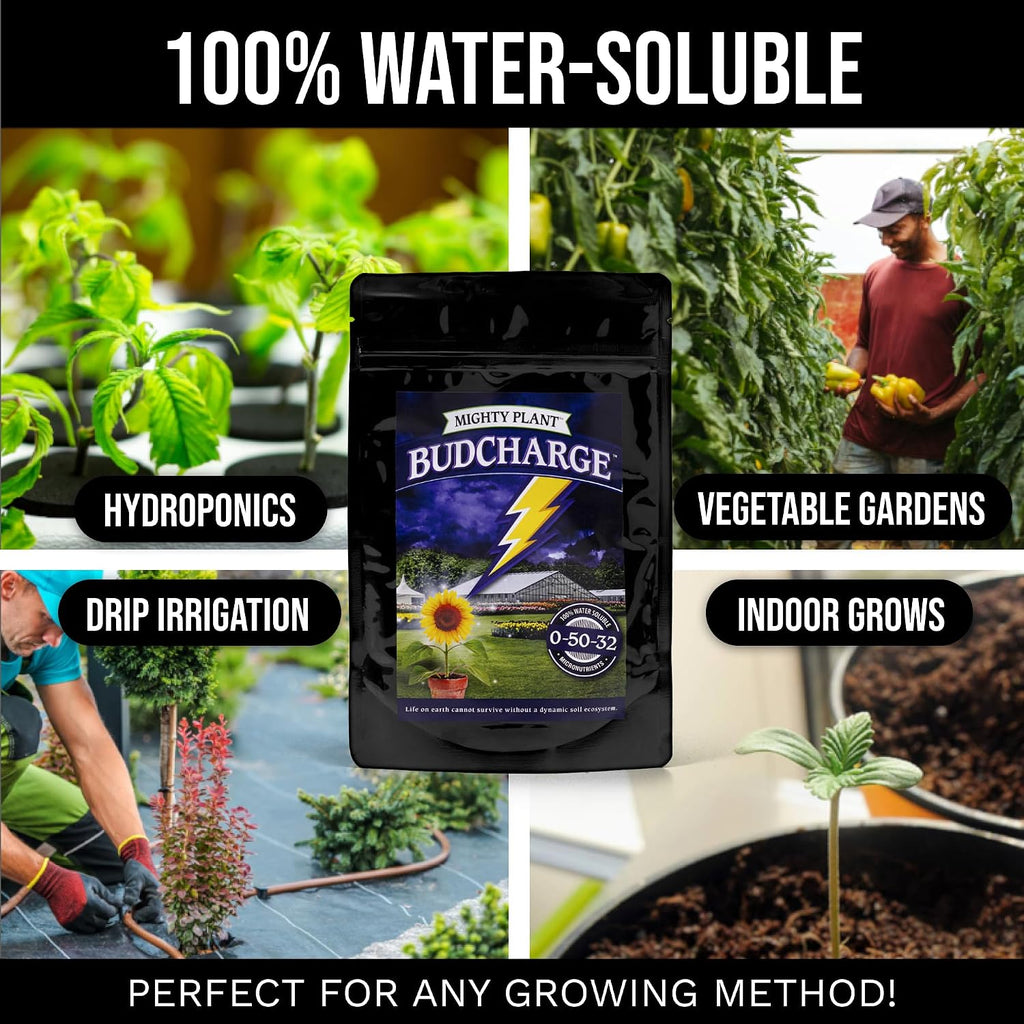 Bloom Booster Flowering Enhancer & Heavy Harvests – High-Density PK Formula – BudCharge 0-50-32 | Ideal for Fruit & Flower Production (5, Ounces)
