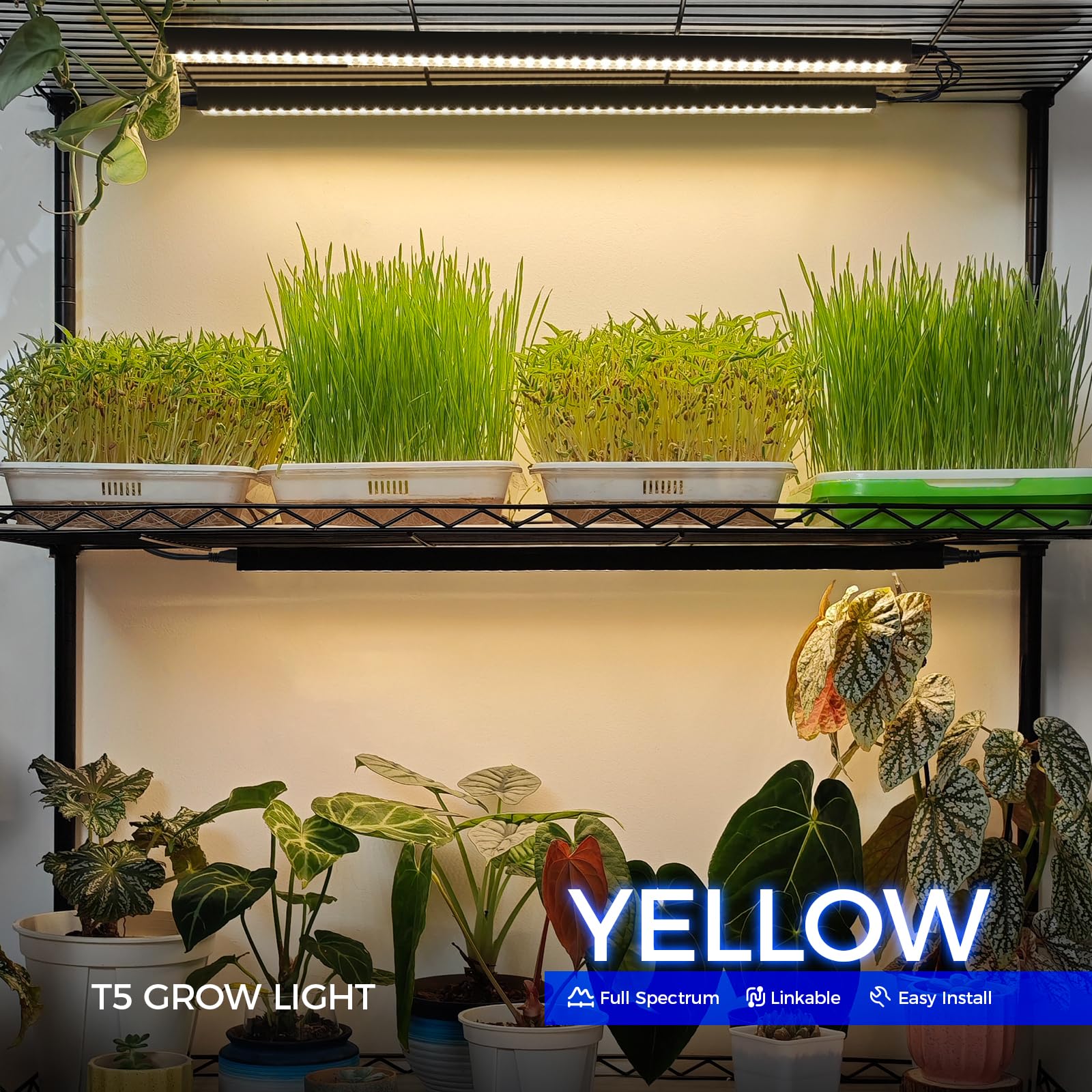 Barrina Grow Lights for Indoor Plant, T5 1FT Full Spectrum, Yellow, 4 Packs | Black Cover LED Grow Light Strips, Linkable, Plant Light for Indoor Plants Growing, 3 Mounting Modes, Separate On/Off