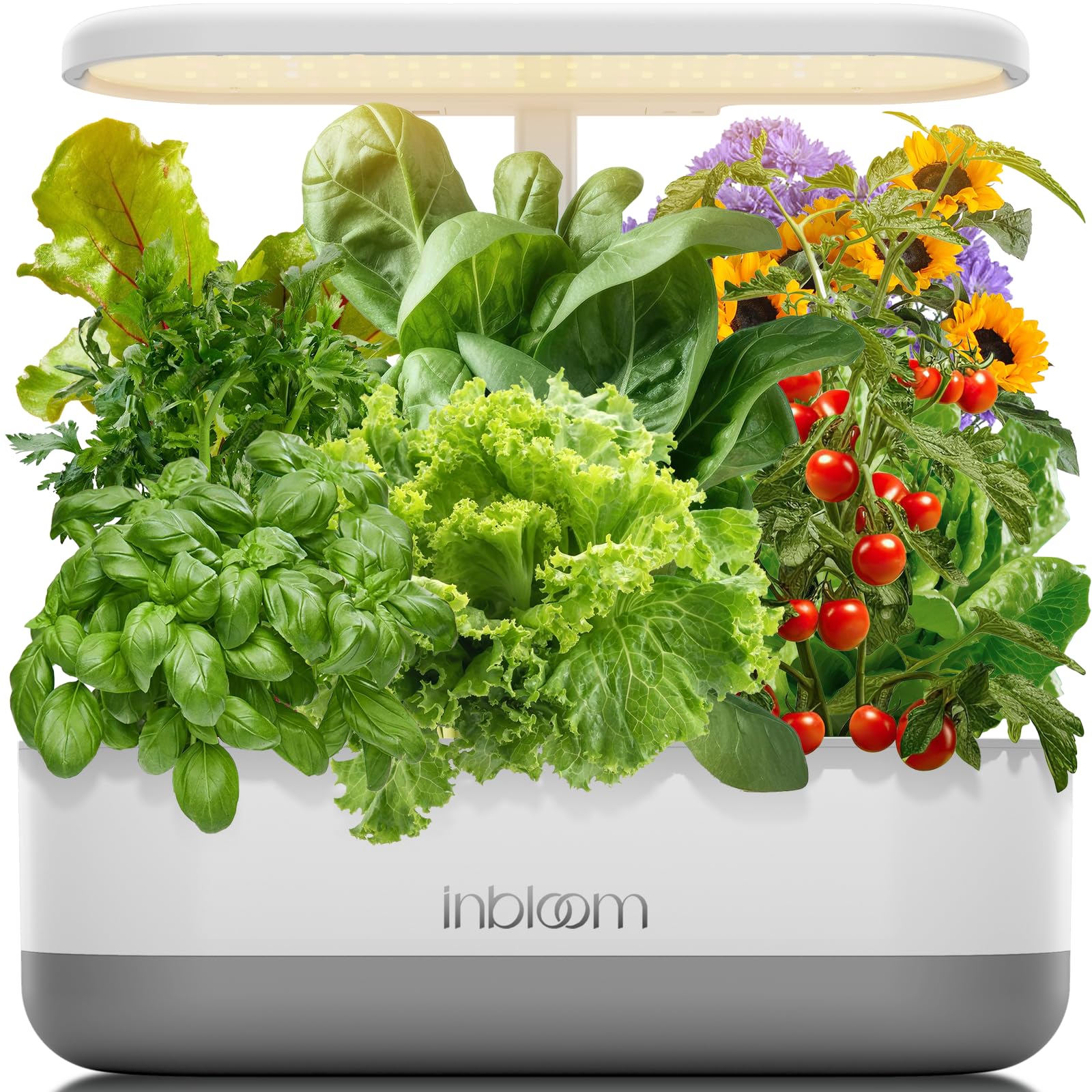 inbloom 12 Pods Hydroponics Growing System Kit, Herb Garden Planter Indoor Kit, Indoor Gardening Hydroponics Growing System with 4.2L Water Pump, Height Adjustable, Gifts for Woman, Transparent Black