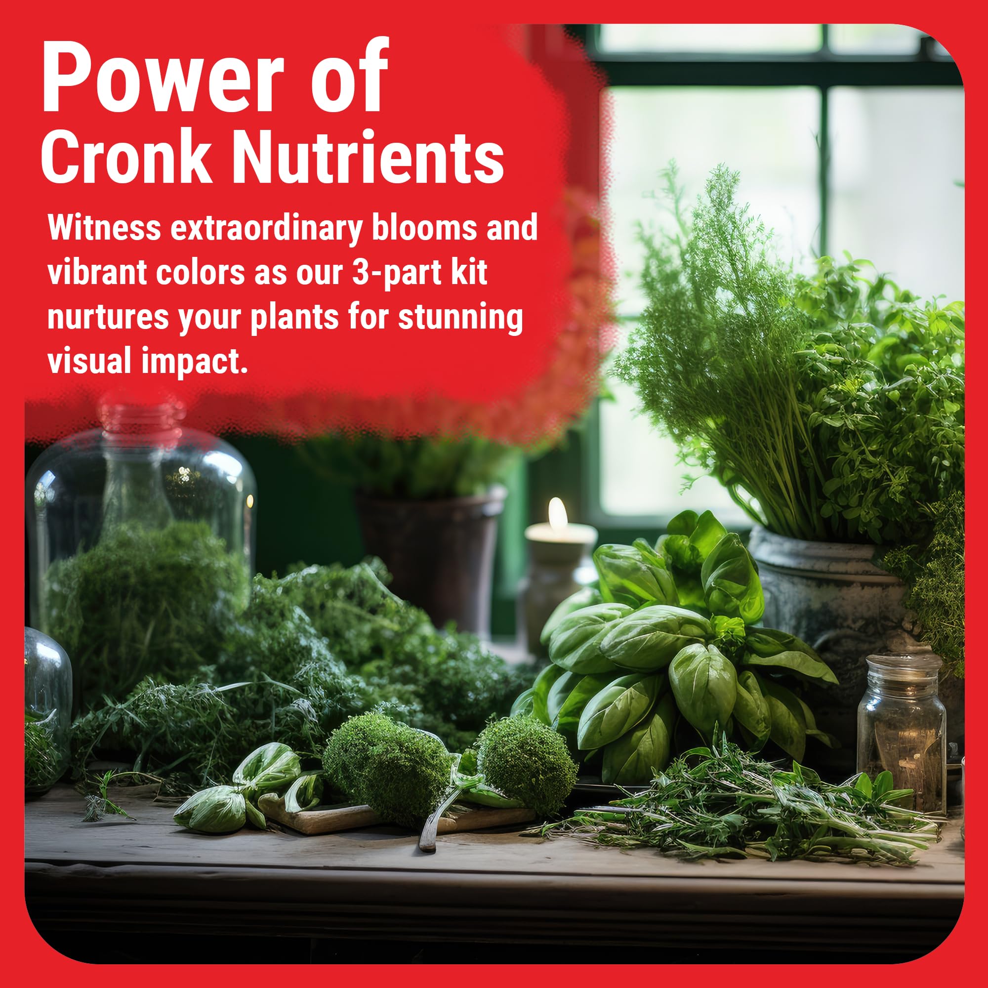 Cronk Nutrients 3-Part Kit: Micro, Grow & Bloom Base Fertilizers, 3 x 1L | Optimal Indoor & Outdoor Plant Growth - Hydroponics, Soil, Soilless Gardens - Supports Abundant Blooms