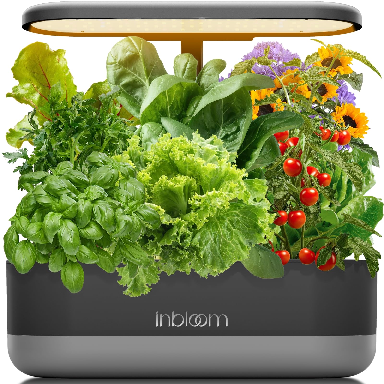 inbloom 12 Pods Hydroponics Growing System Kit, Herb Garden Planter Indoor Kit, Indoor Gardening Hydroponics Growing System with 4.2L Water Pump, Height Adjustable, Gifts for Woman, Transparent Black