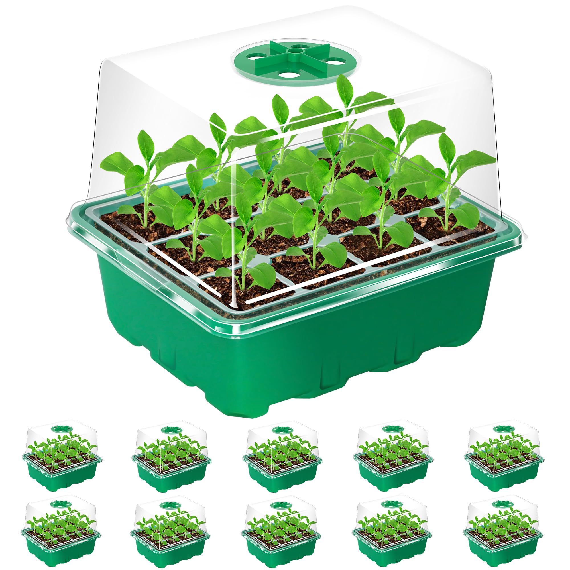 10-Pack Seed Starter Trays, Tall Dome, Base, 12-Cell Tray, Clear | 10 Seedling Kits with Tall Domes for Large Seed Starting. Adjustable Vents, Clear Trays & Heat Mat Compatibility, Indoor Use