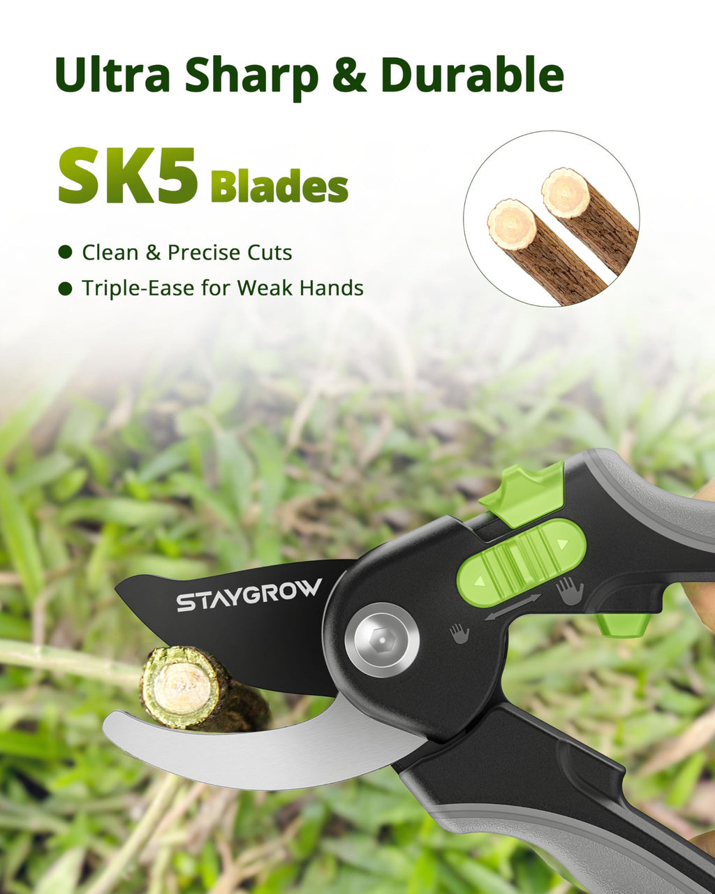 2pcs 6.5" Pruning Shears for Gardening Ultra Sharp Garden Scissors | Plant Snips for Precise Cuts, Stainless Steel Bonsai Clippers with Spring Loaded, Garden Shears (1pc Straight & 1pc Curved)