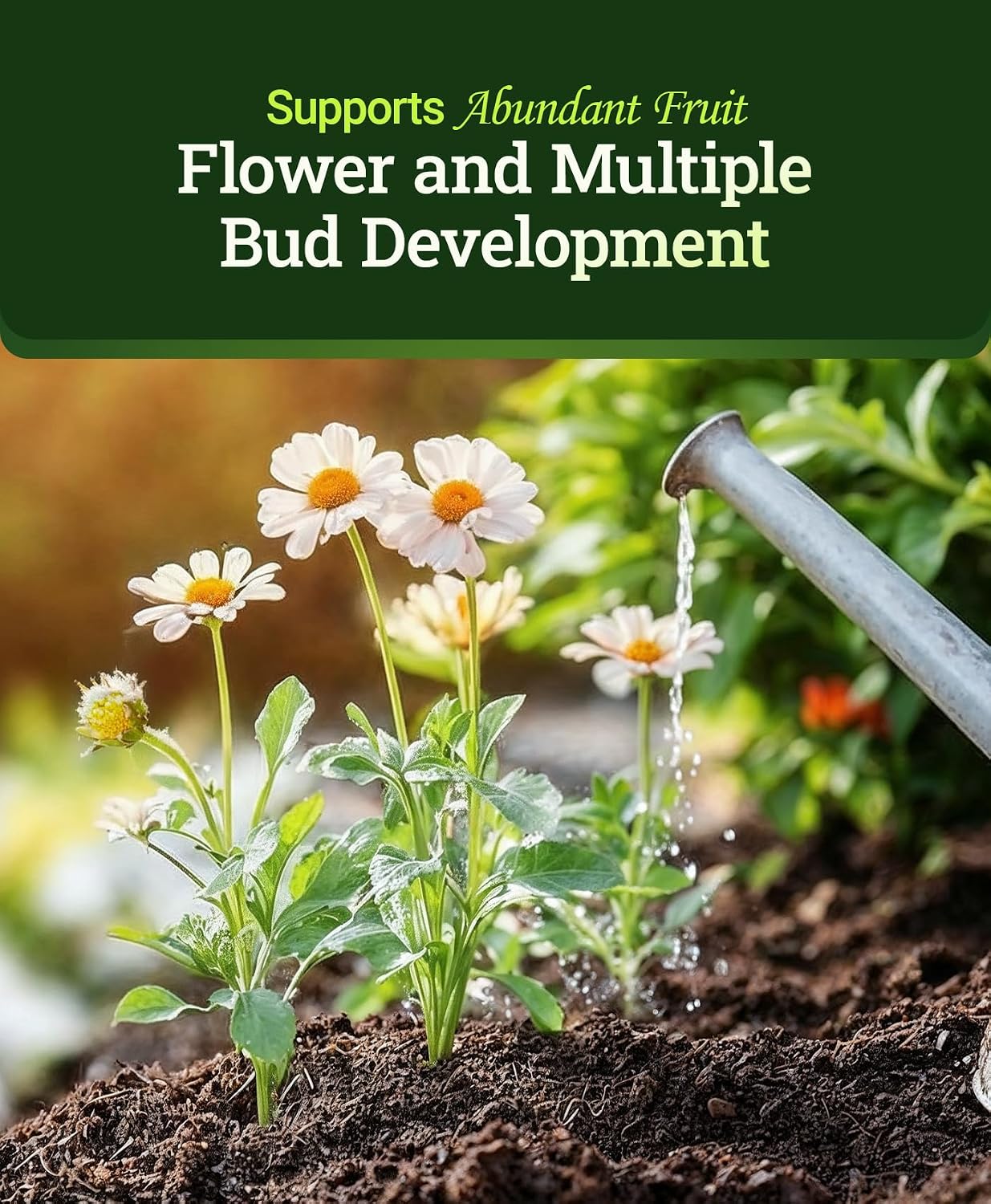 FoxFarm Tiger Bloom Liquid Plant Food - Phosphorus Fertilizer for Buds, Blooms & Flowering - Supports Soil & Hydroponic Systems - High Micronutrient Formula with 2-8-4 Nutrient Ratio - 1 Pint