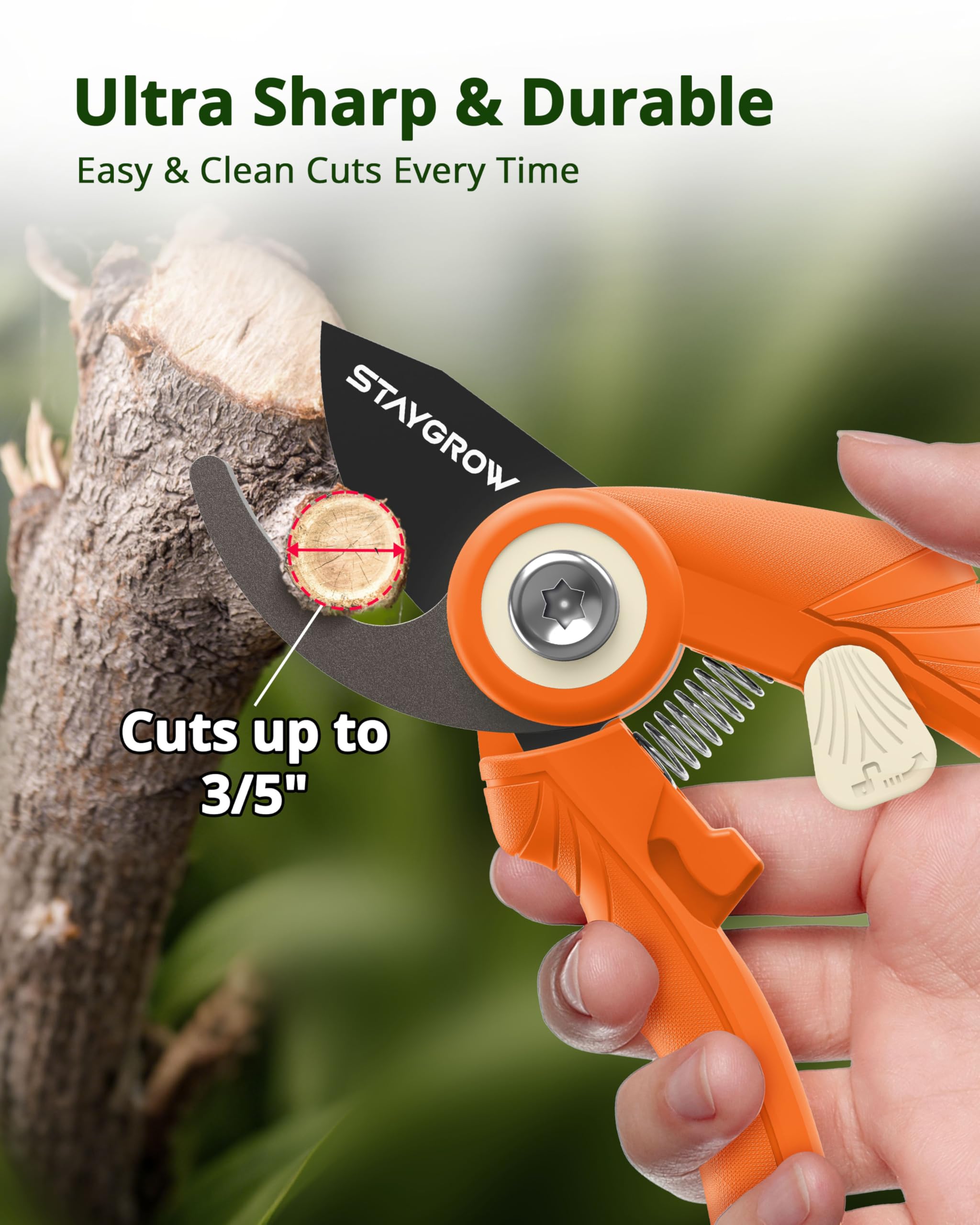 2pcs 6.5" Pruning Shears for Gardening Ultra Sharp Garden Scissors | Plant Snips for Precise Cuts, Stainless Steel Bonsai Clippers with Spring Loaded, Garden Shears (1pc Straight & 1pc Curved)