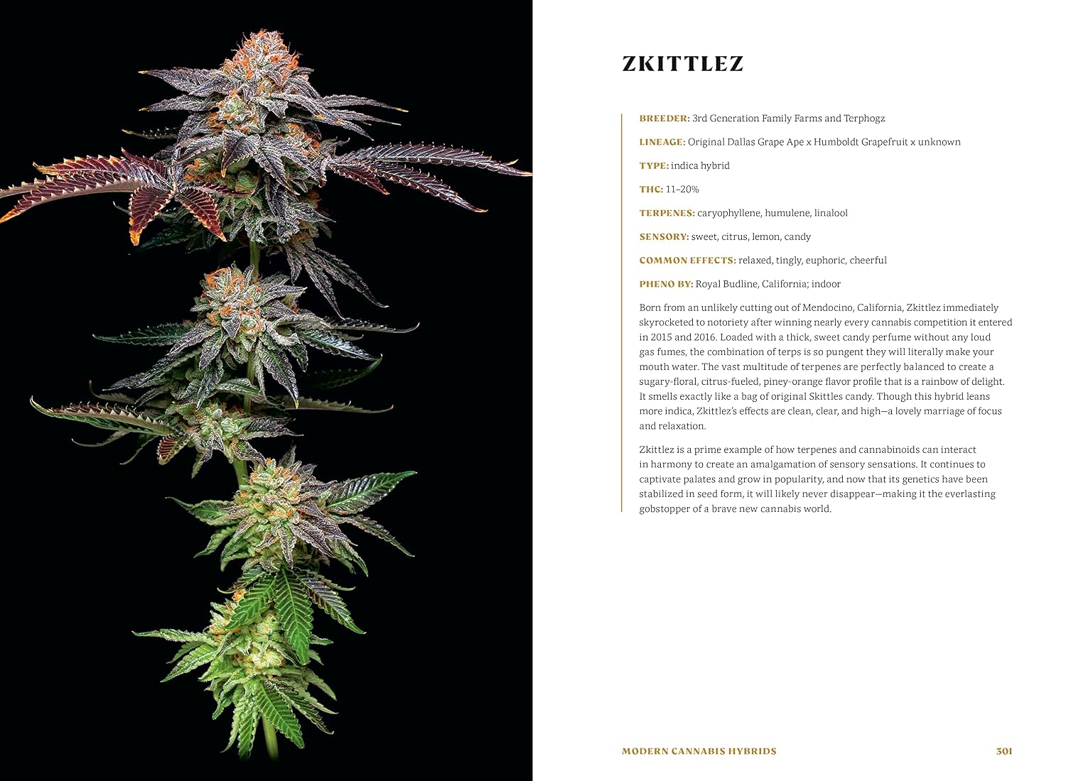 Higher: The Lore, Legends, and Legacy of Cannabis