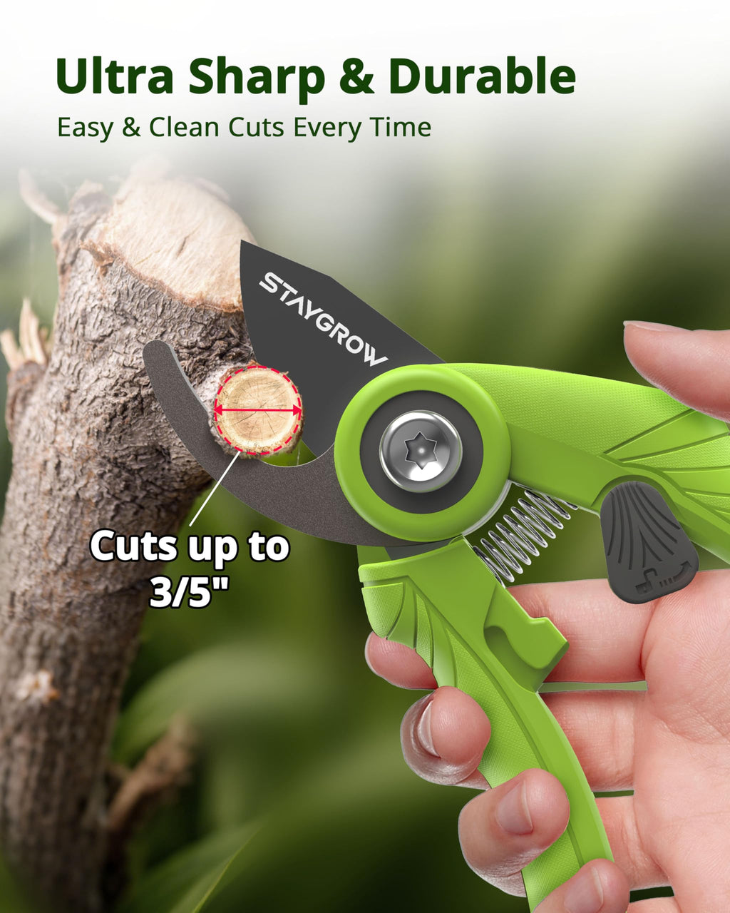 2pcs 6.5" Pruning Shears for Gardening Ultra Sharp Garden Scissors | Plant Snips for Precise Cuts, Stainless Steel Bonsai Clippers with Spring Loaded, Garden Shears (1pc Straight & 1pc Curved)