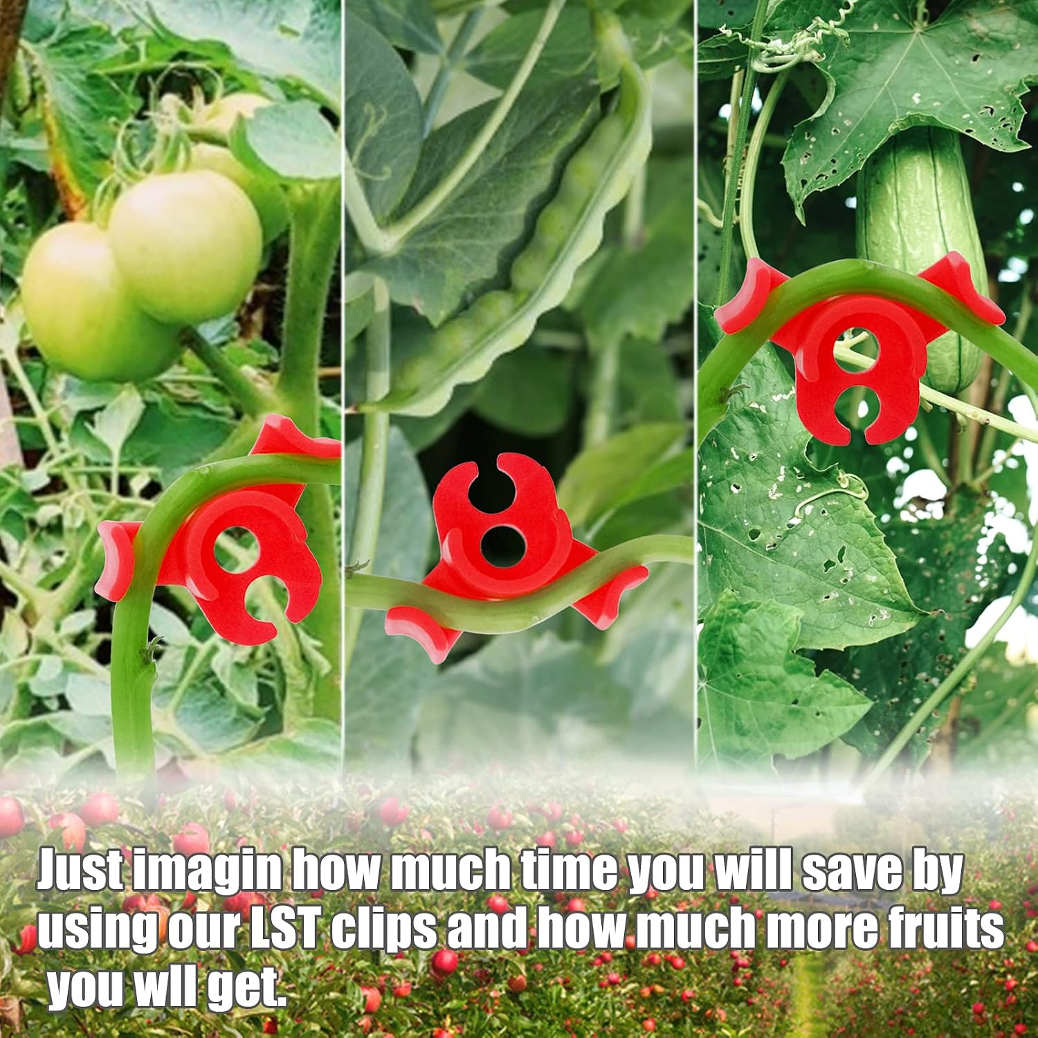30-Pack 90° Plant Training Clips, Red Plant Clips | Reusable low-stress clips, fits stems under 0.25 in, deep grooves reduce slipping, improves airflow and light for plants