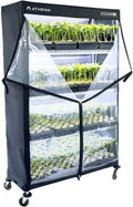 Athena Culture VPDome Indoor Greenhouse for Plant Propagation | TC-VPD