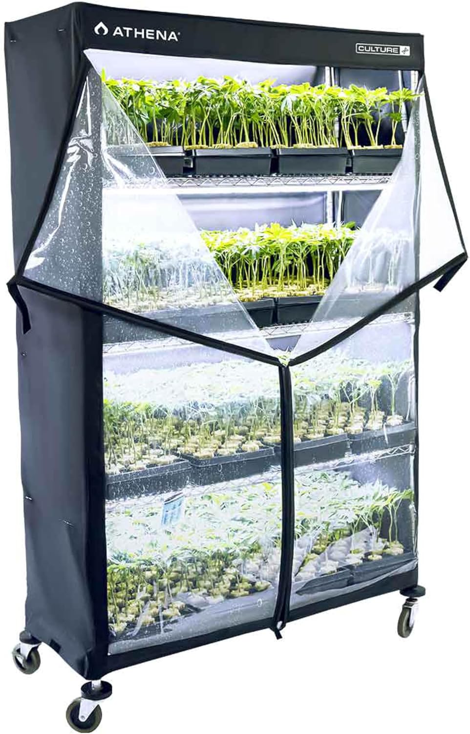Athena Culture VPDome Indoor Greenhouse for Plant Propagation | TC-VPD