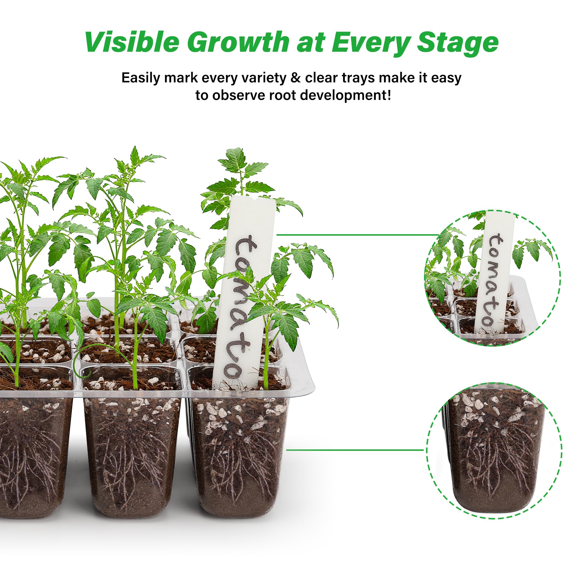 10-Pack Seed Starter Trays, Tall Dome, Base, 12-Cell Tray, Clear | 10 Seedling Kits with Tall Domes for Large Seed Starting. Adjustable Vents, Clear Trays & Heat Mat Compatibility, Indoor Use