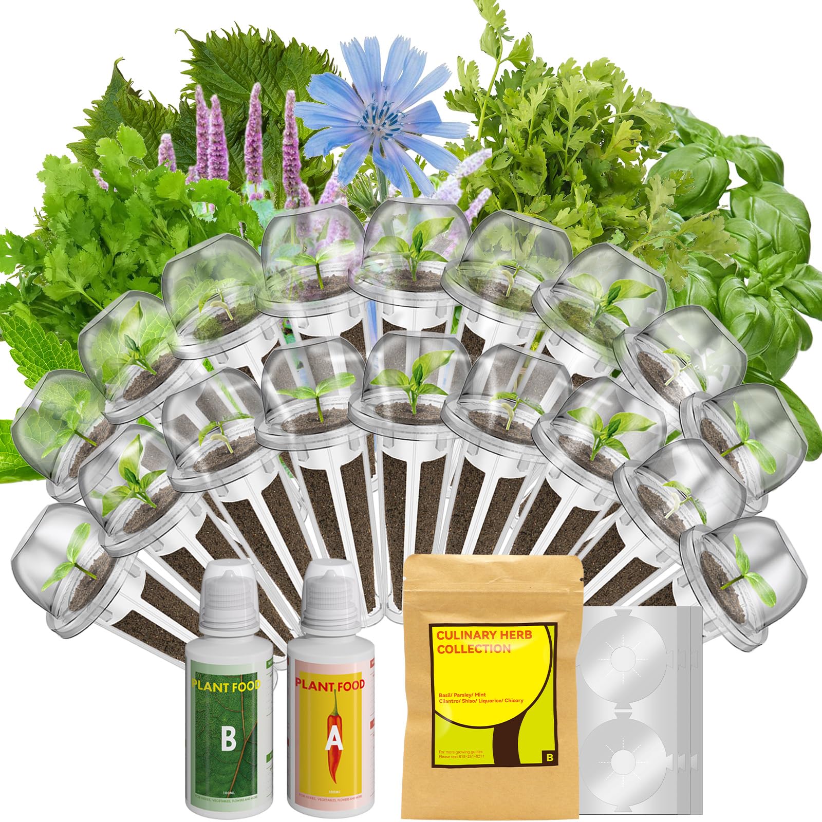 inbloom 12-Pod Pepper Seed Pod Kit for AeroGarden, iDOO, Ahopegarden Hydroponic Growing System, Include Cucumber, Red&Golden Tomato, Red Chili Pepper, Green&Yellow Pepper, Purple Pepper, 400+ Seeds
