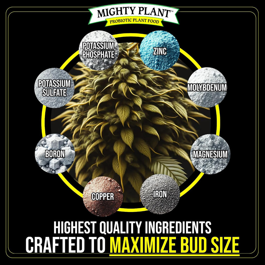 Bloom Booster Flowering Enhancer & Heavy Harvests – High-Density PK Formula – BudCharge 0-50-32 | Ideal for Fruit & Flower Production (5, Ounces)