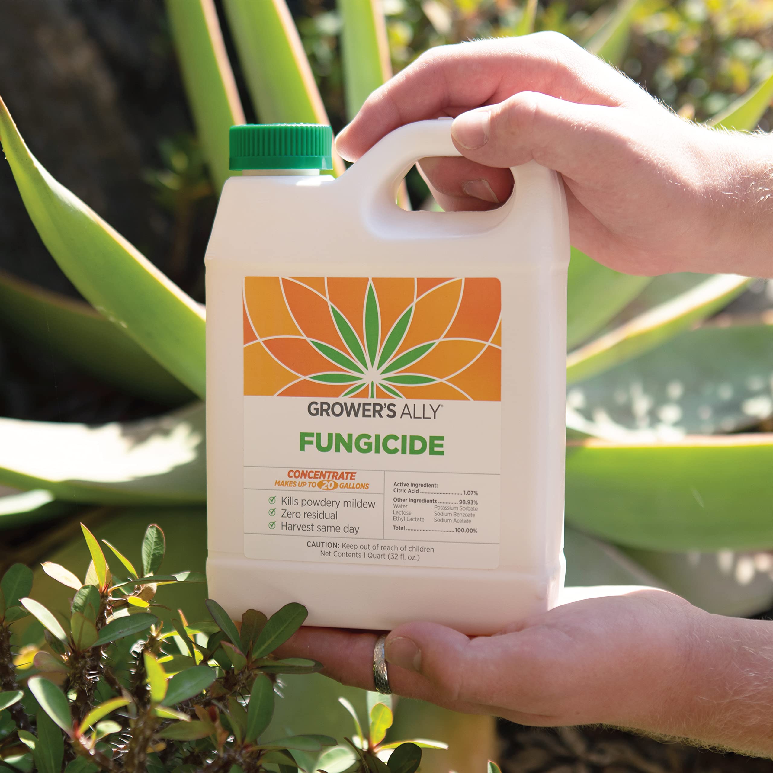 Grower's Ally Fungicide Concentrate for Plants, 8 Oz, Makes 5 Gallons