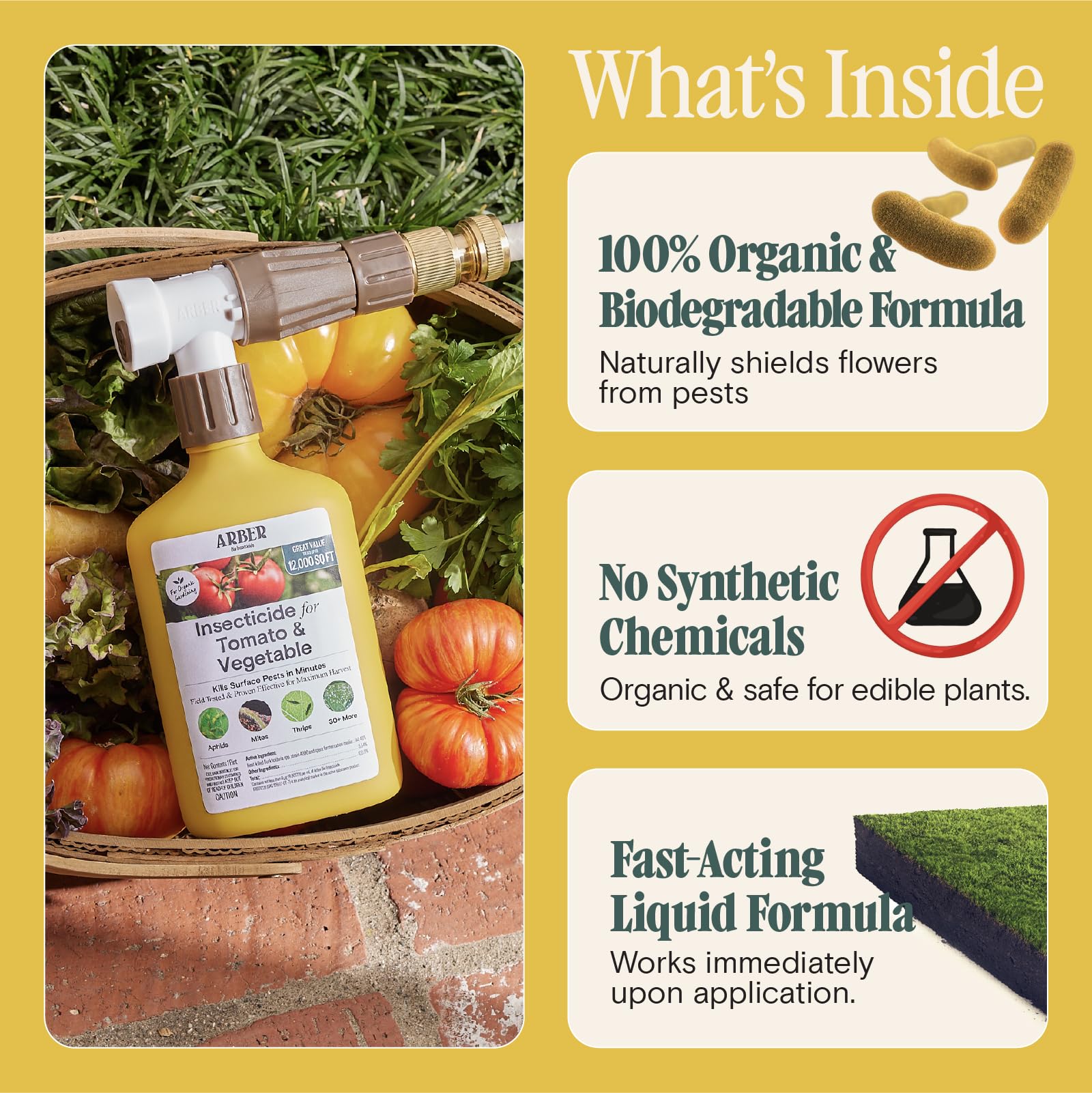 Organic Insecticide & Fungicide for Plants - Indoor/Outdoor, 16oz | Indoor and outdoor protection controls powdery mildew, spider mites, aphids, whiteflies, and fungus gnats