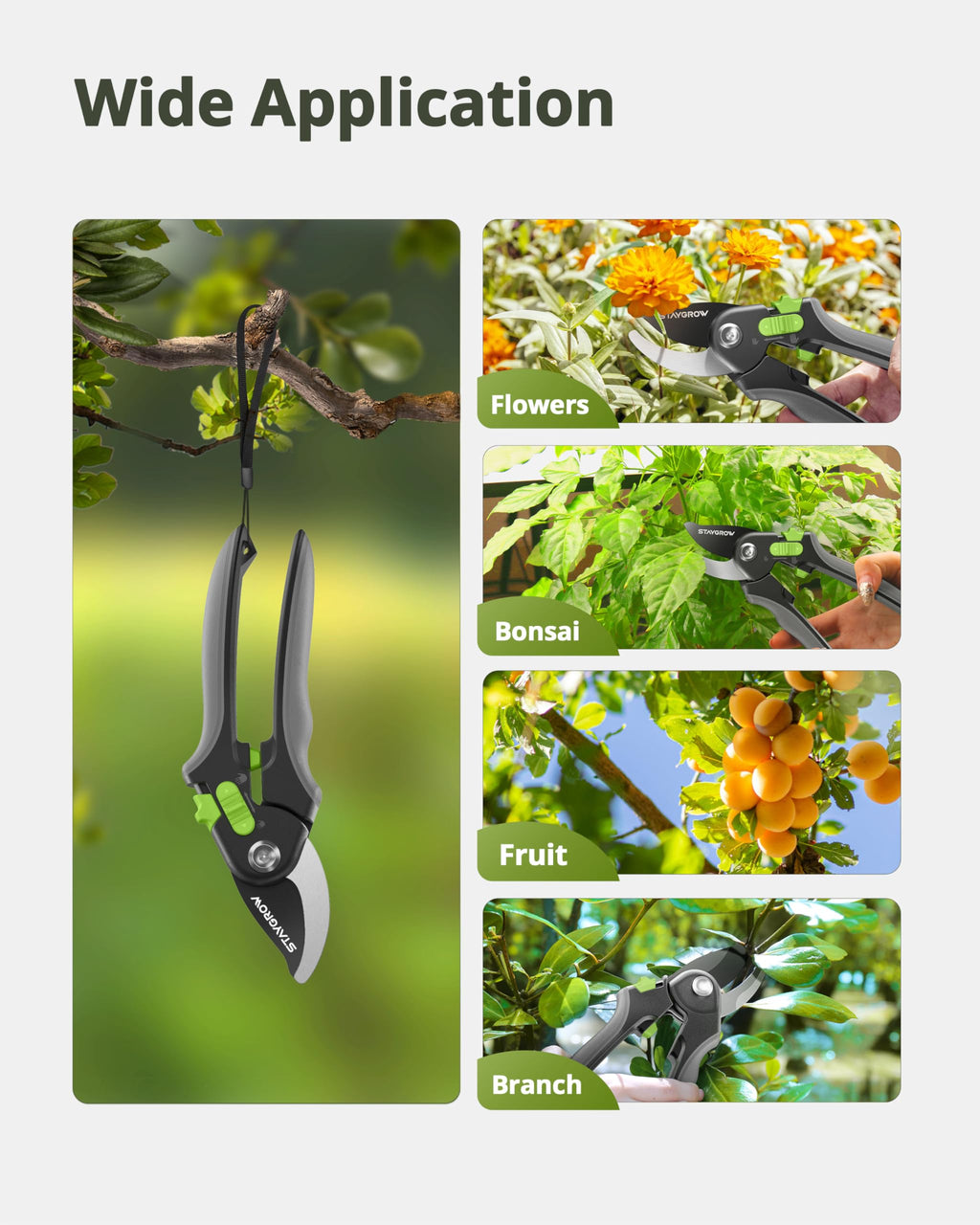 2pcs 6.5" Pruning Shears for Gardening Ultra Sharp Garden Scissors | Plant Snips for Precise Cuts, Stainless Steel Bonsai Clippers with Spring Loaded, Garden Shears (1pc Straight & 1pc Curved)