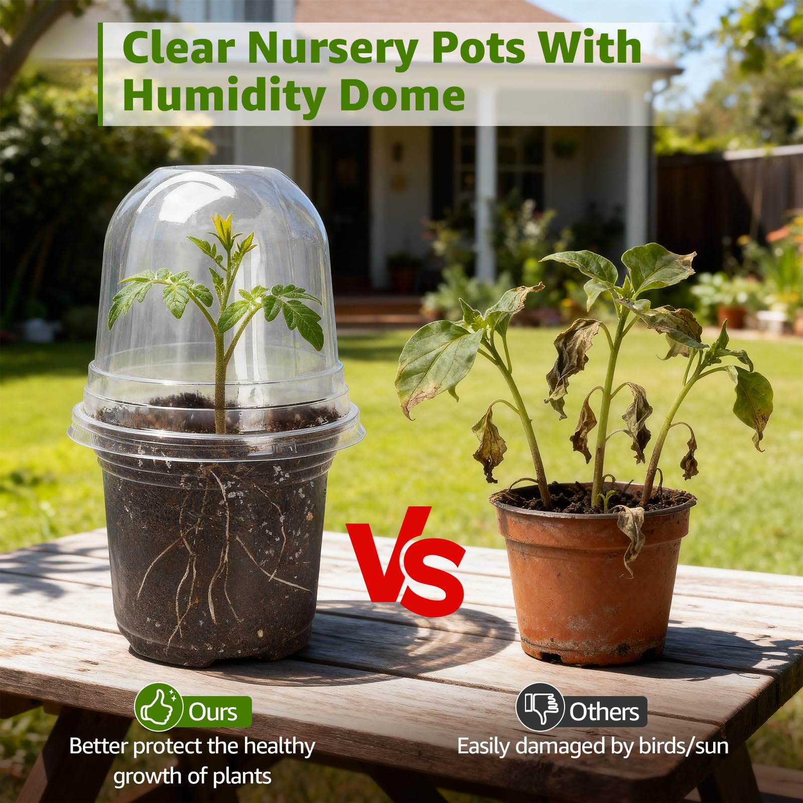MIXC Plant Nursery Pots with Humidity Dome 4" Soft Transparent Plastic Gardening Pot Planting Containers Cups Planter Small Starter Seed Starting Trays for Seedling with 10pcs Plant Labels，30 Sets