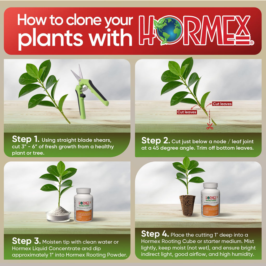 Hormex Rooting Hormone for Cuttings #16 - Max-Strength Powder (1.60% IBA) | Maximum Strength Rooting Hormone, Root Stimulator for Plants, Rooting Powder Compound for Difficult Hardwood Plants & Trees