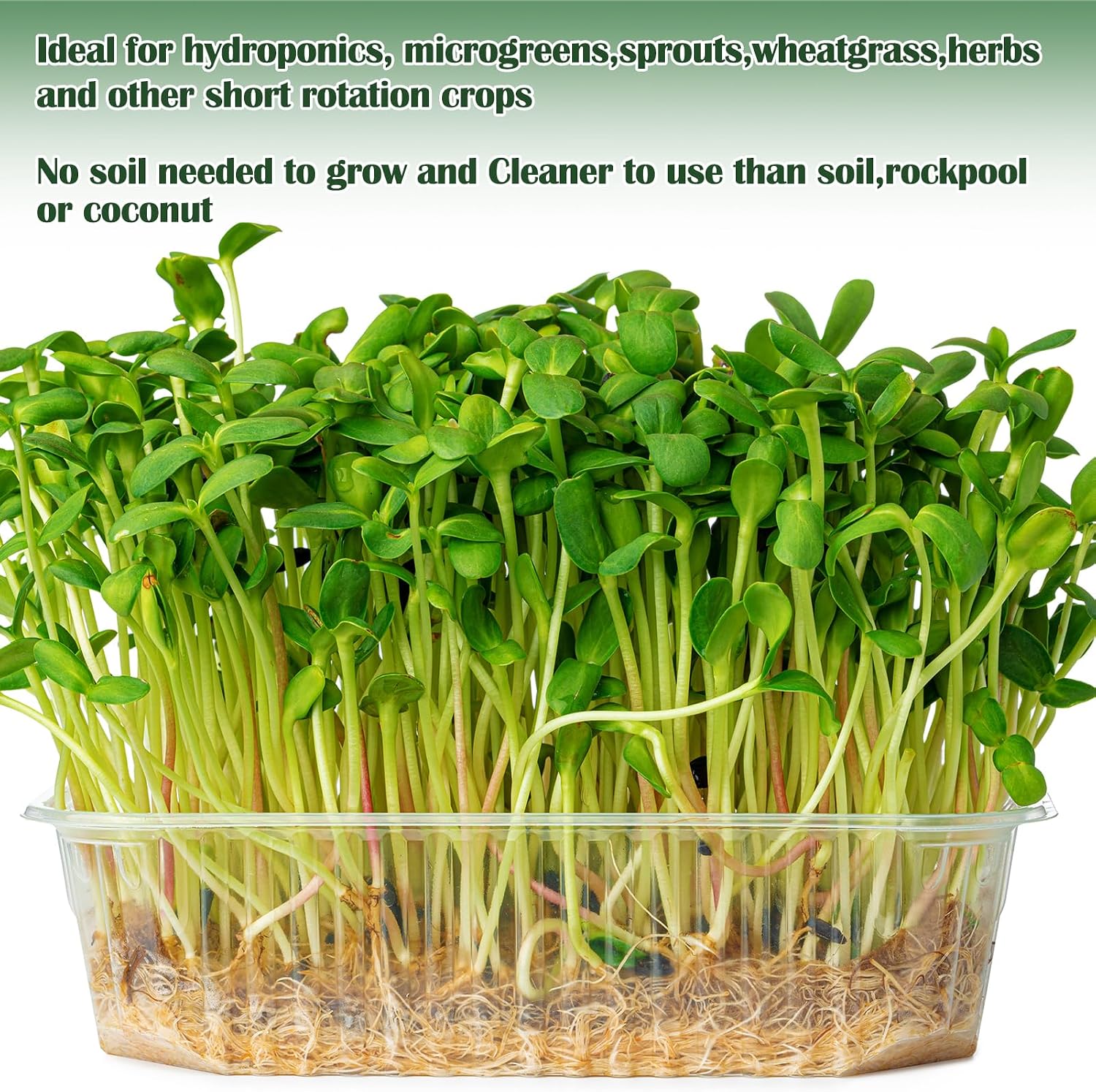 1Roll 10" X 236" Microgreen Growing Mat Hemp Fiber Grow Mats Microgreens Growing Kit Jute Hydroponic Pads Indoor Organic Production for Microgreen Starter Tray Wheatgrass Sprouts