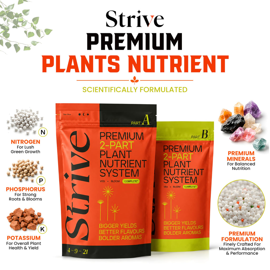 Strive Fertilizer Starter Kit Combo - Veg + Bloom General Hydroponic Nutrients - Indoor, Outdoor and Soil Growing Plant Food - Booster for Vegetables, Succulents, Flowers (Trial Combo 300 Grams)