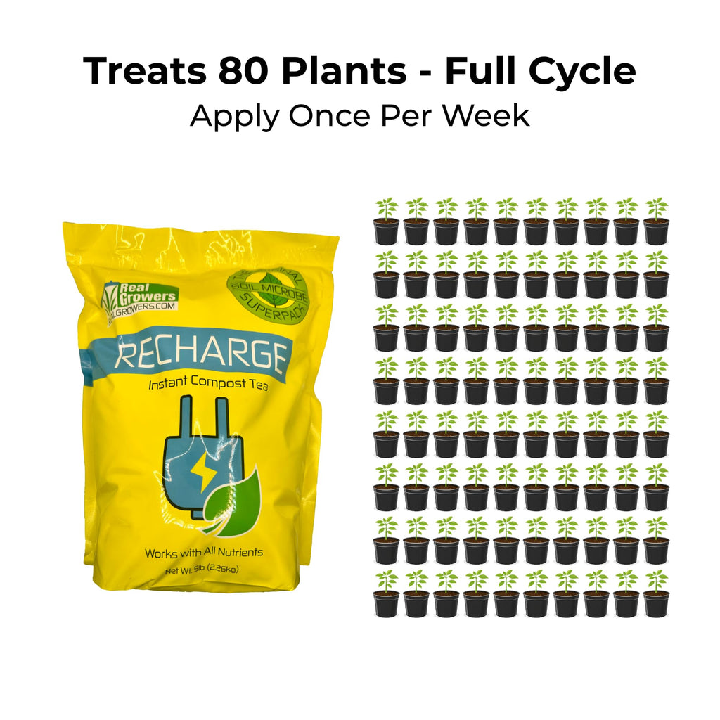 Real Growers Recharge 2 oz – Explosive Root Growth with Mycorrhizae for Living Soil & Coco Coir