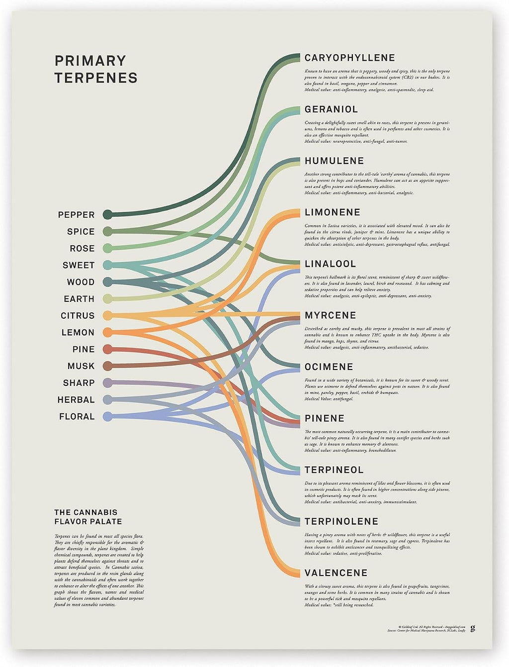 Goldleaf Primary Terpenes Art Print: The Cannabis Flavor Palate Infographic Chart, Terpene Poster, Marijuana Flavors Infographic, Elevated Stoner Decor, Weed Chart Wall Art (18x24)