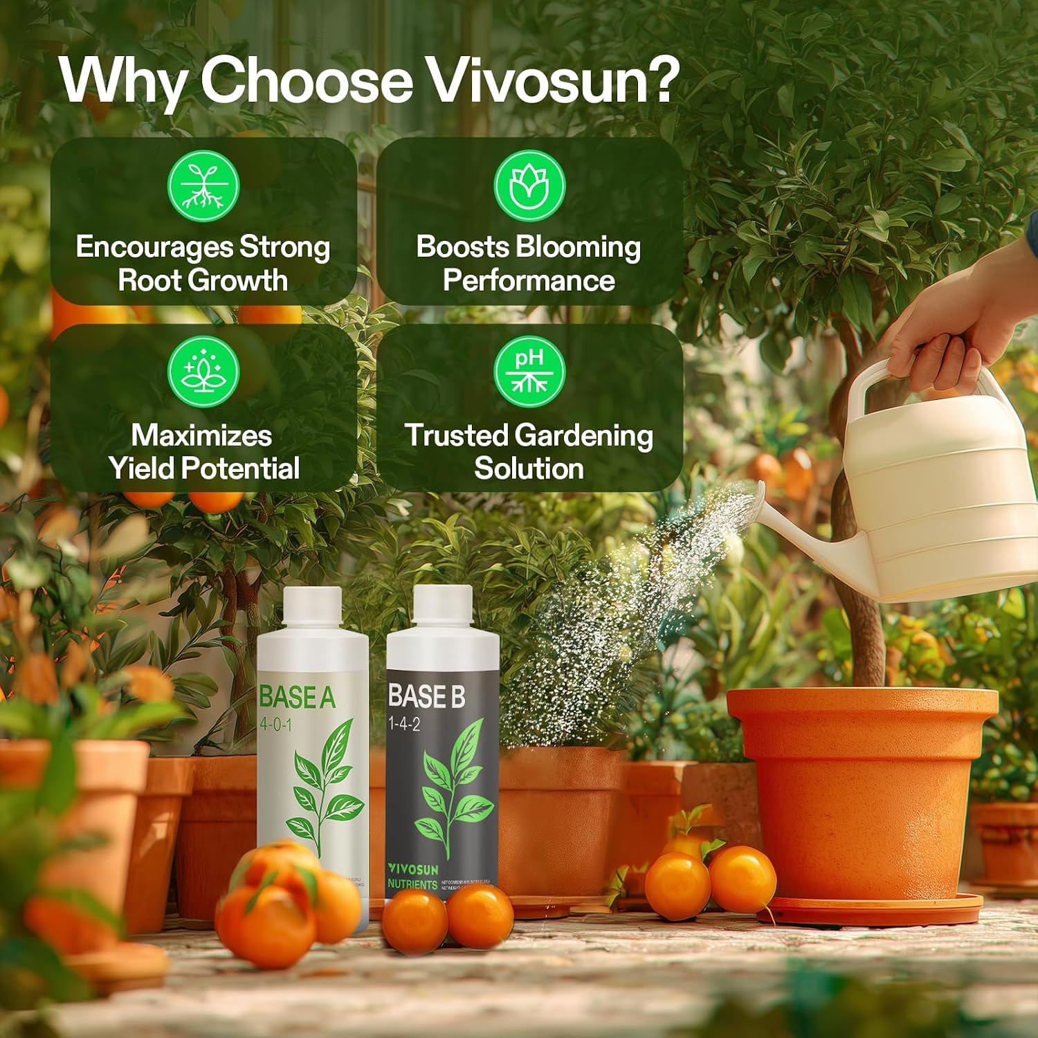 VIVOSUN Liquid Nutrients Base A & B Bundle, Set of 8oz | Grow Big Hydroponic Fertilizer, Supports Vegetative and Flowering Stages for Outdoor, Indoor Plants, Best Plant Food