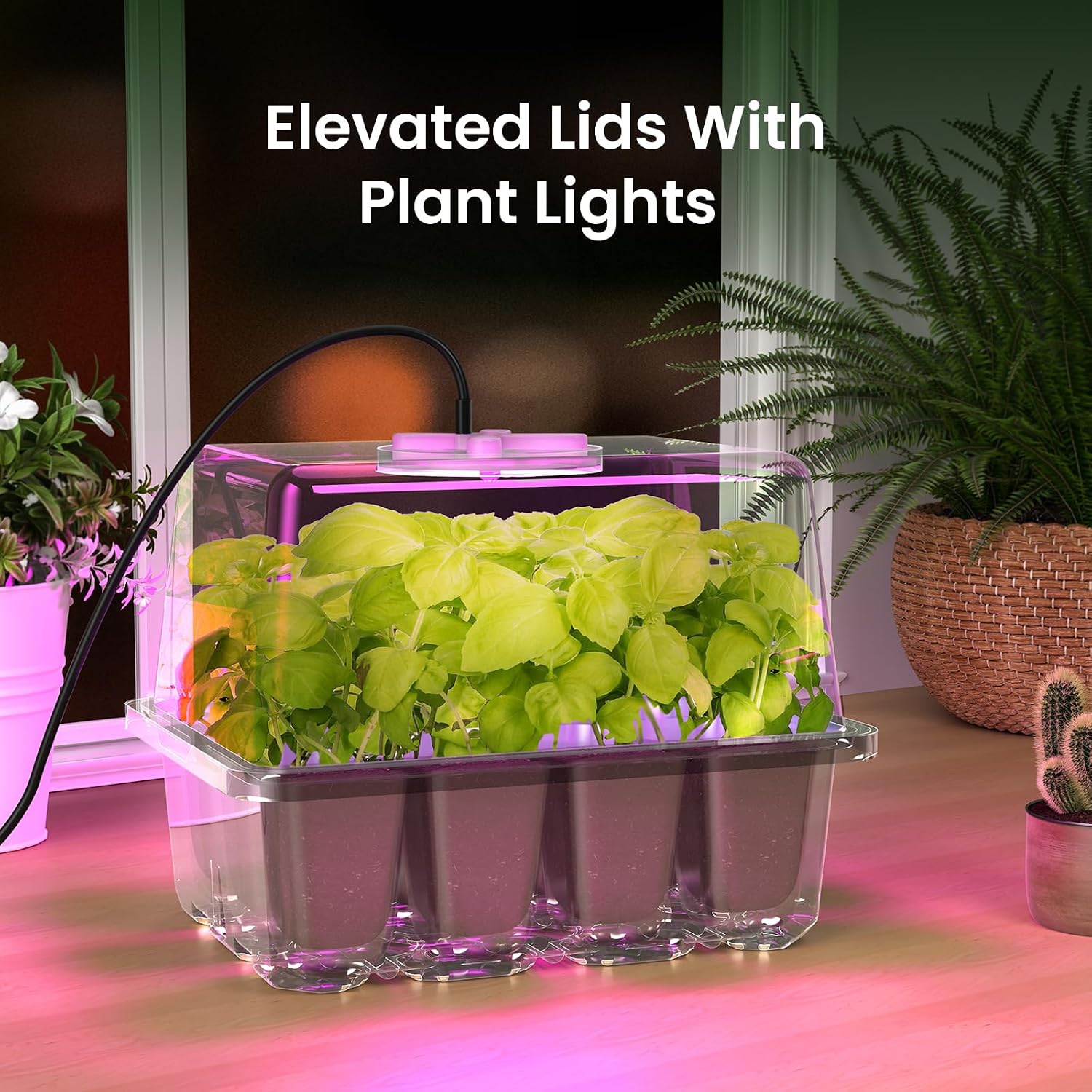 Kit de inicio de semillas MIXC con luz de crecimiento, kit de bandeja para plántulas elevadas con cúpula de humedad ajustable y bandeja de celdas transparentes, 12 perlas LED de espectro completo para