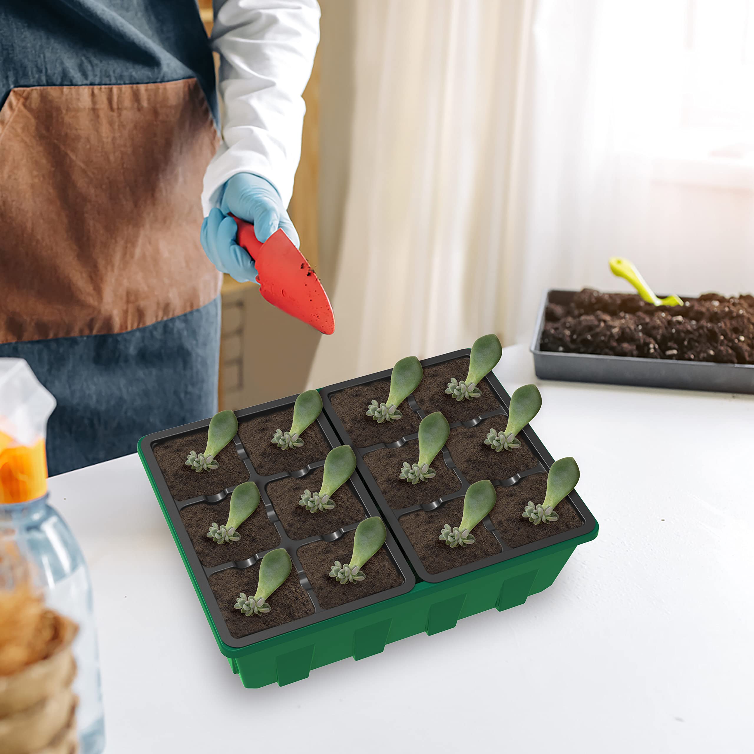 Gardzen 5-Set Seed Starter Tray Kits, Durable Plant Germination Trays with Humidity Vented Domes and Bases, Ideal for Seed Starting, Indoor Gardening, and Greenhouse (Total 200 Cells) | Durable Plant Germination Kit with Humidity Control Domes for Indoor