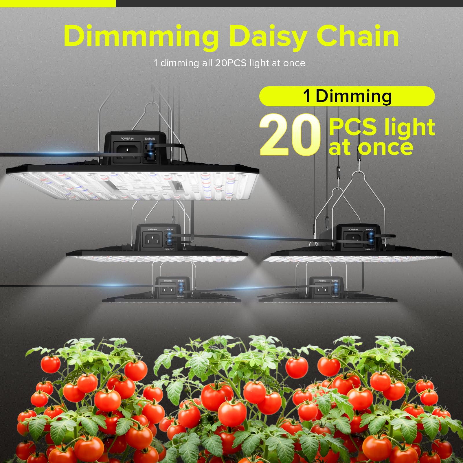 80W LED Grow Light Full Spectrum Growing Lamp for Indoor Plants | UAP800 New-gen Lens Dimmable Daisy Chain Deeper Penetration Grow Lights for Seed Starting Vegetables Bloom in 2x2ft Grow Tent