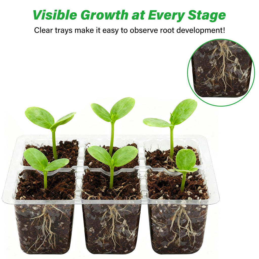 10-Pack Seed Starter Trays, Tall Dome, Base, 12-Cell Tray, Clear | 10 Seedling Kits with Tall Domes for Large Seed Starting. Adjustable Vents, Clear Trays & Heat Mat Compatibility, Indoor Use