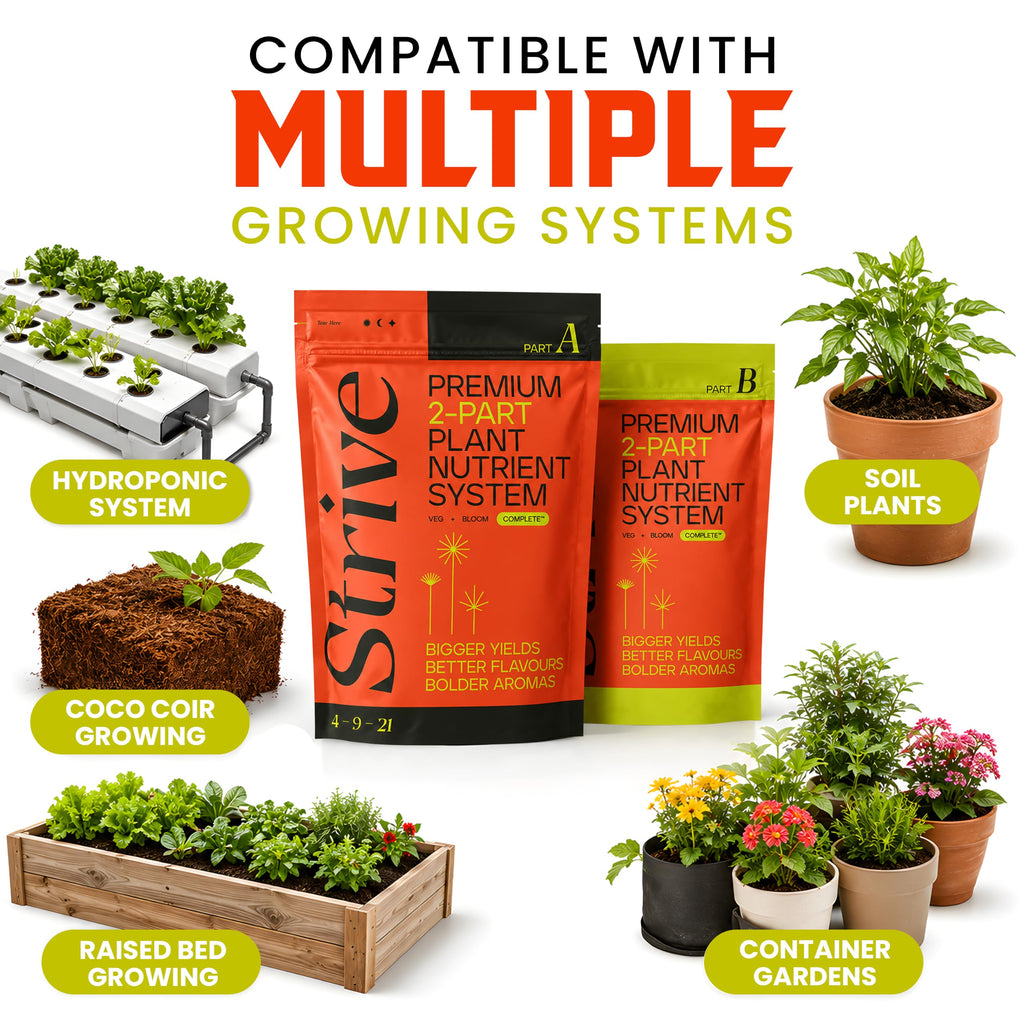 Strive Fertilizer Starter Kit Combo - Veg + Bloom General Hydroponic Nutrients - Indoor, Outdoor and Soil Growing Plant Food - Booster for Vegetables, Succulents, Flowers (Trial Combo 300 Grams)